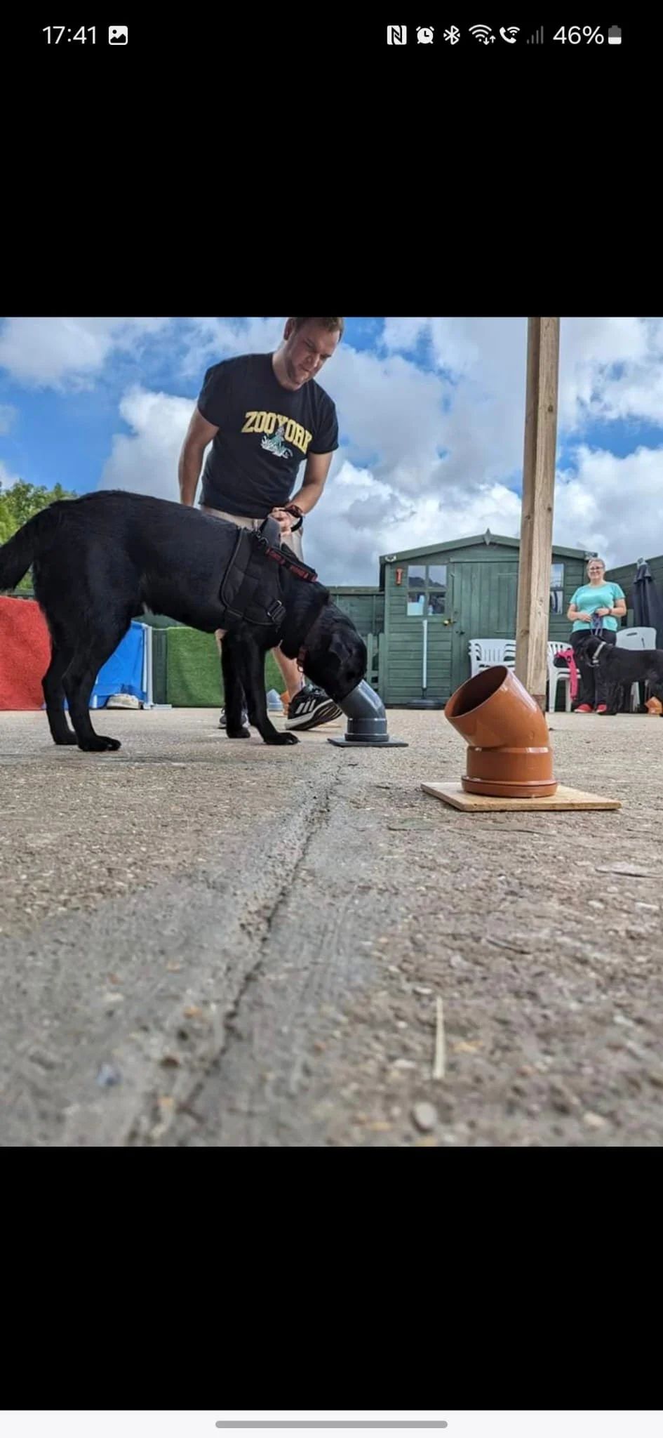 A black dog with a prosthetic leg sniffing through a small pipe, with a man standing behind it wearing a black t-shirt and a woman in the background.