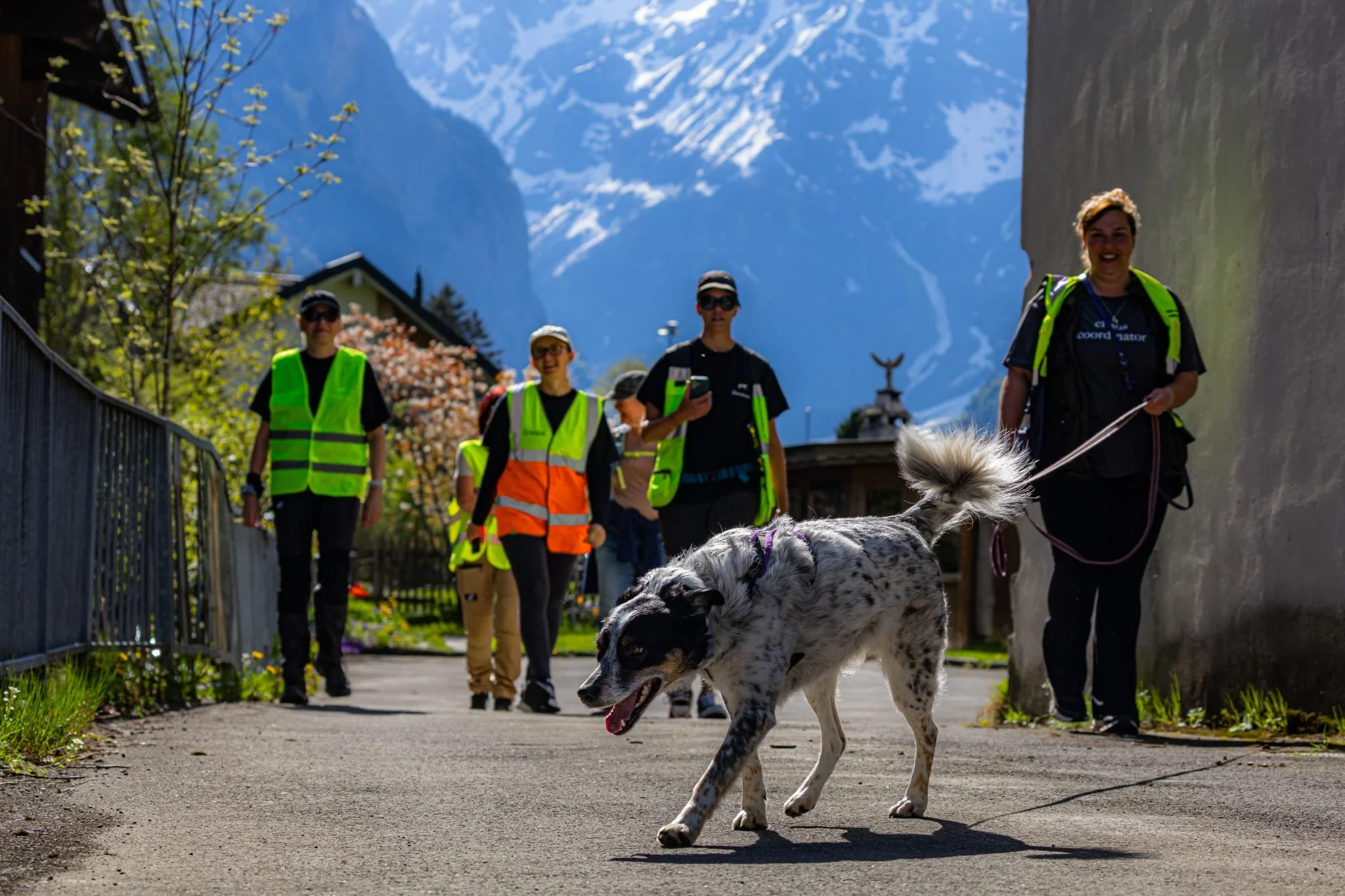 Four women standing outdoors in front of green bushes, each holding a certificate and with a dog sitting or standing beside them.