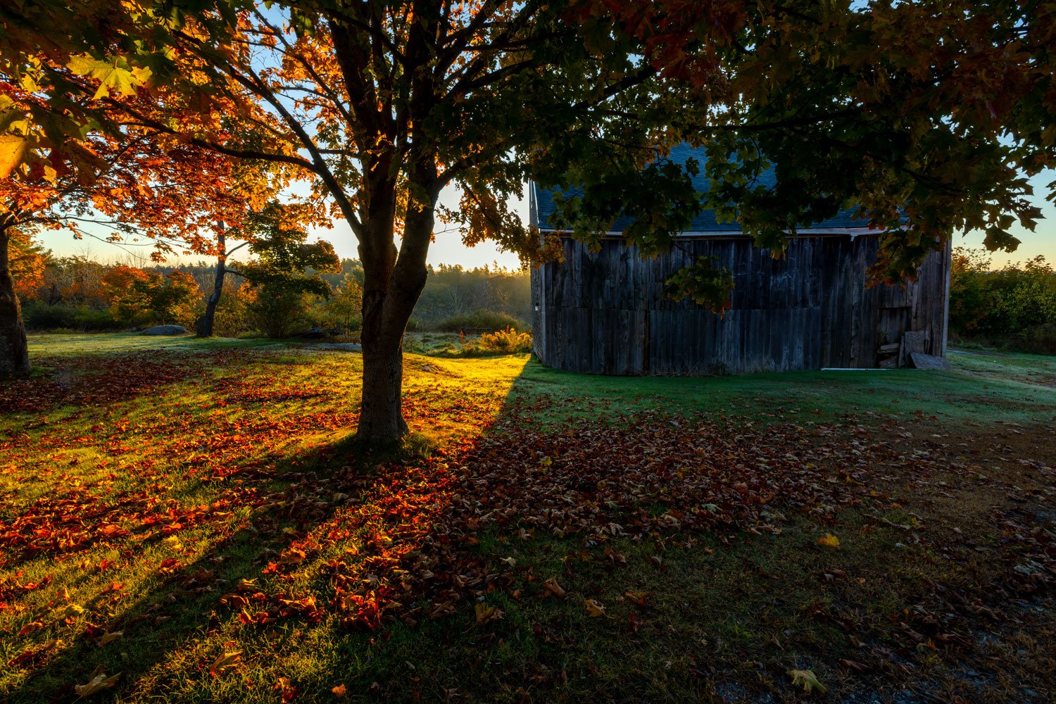 Autumn in New England # 2