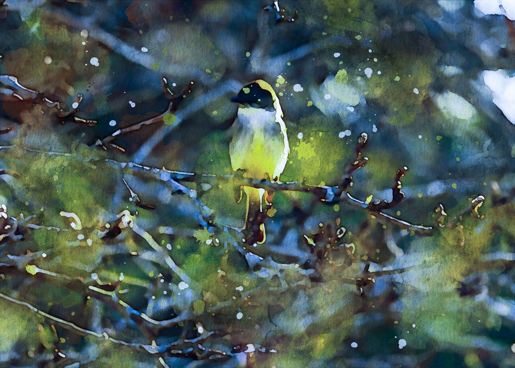 Bird_morning-_small.jpg