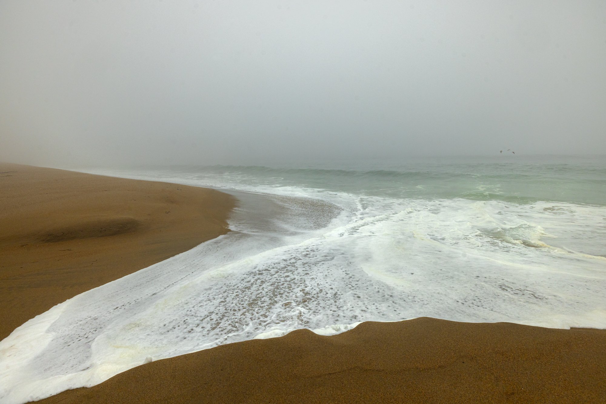 Foggy Beach