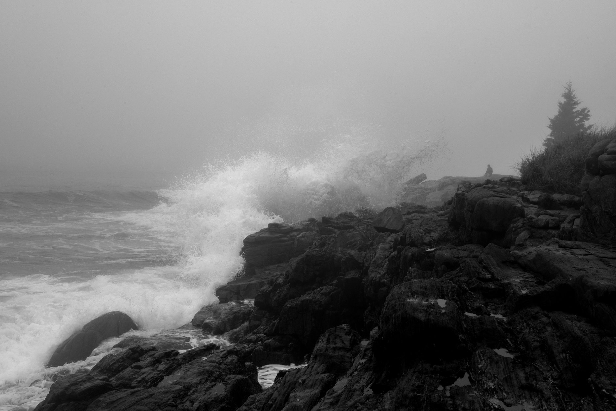 Black & White, Reid state park