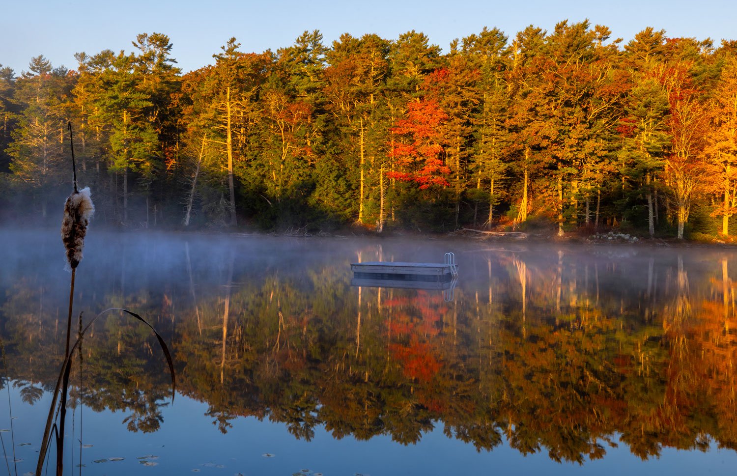 Reflections of Autumn