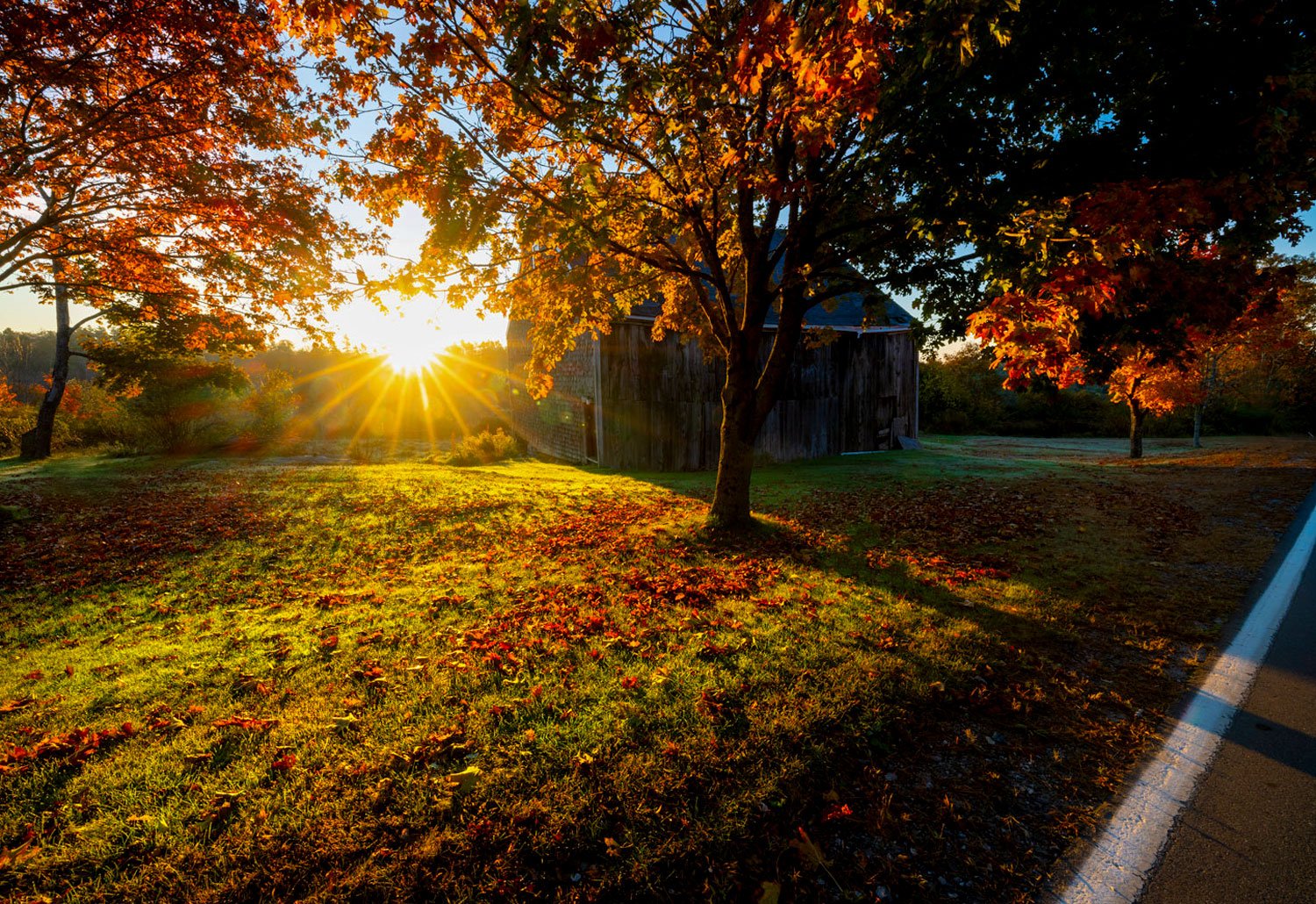 Autumn in New England