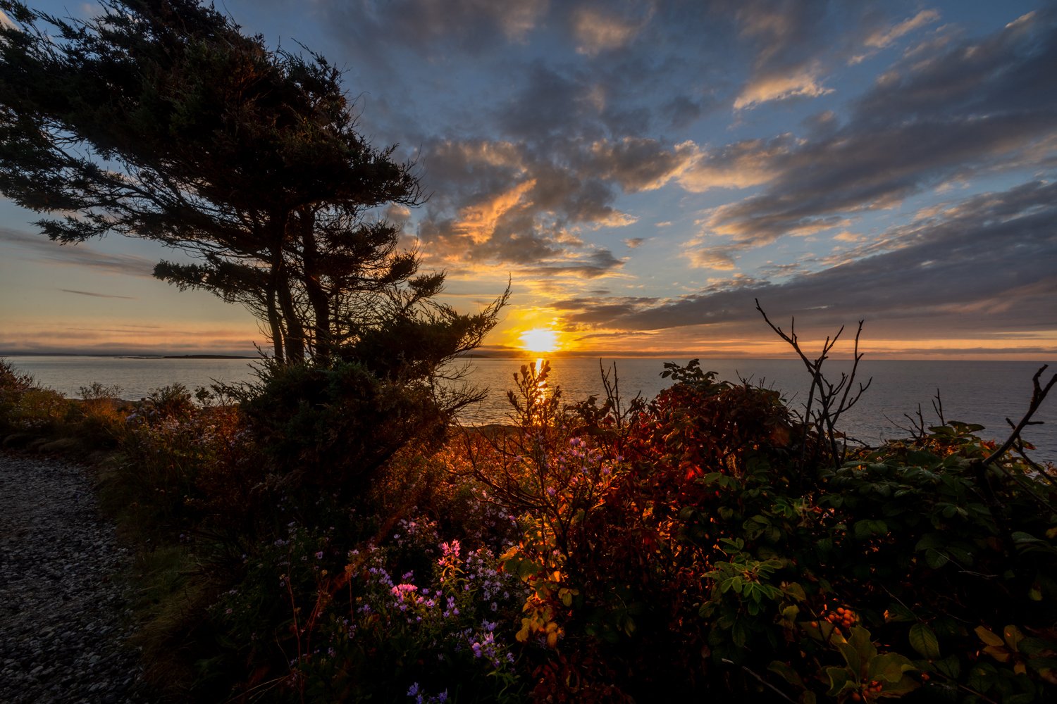 Glowing sunrise.