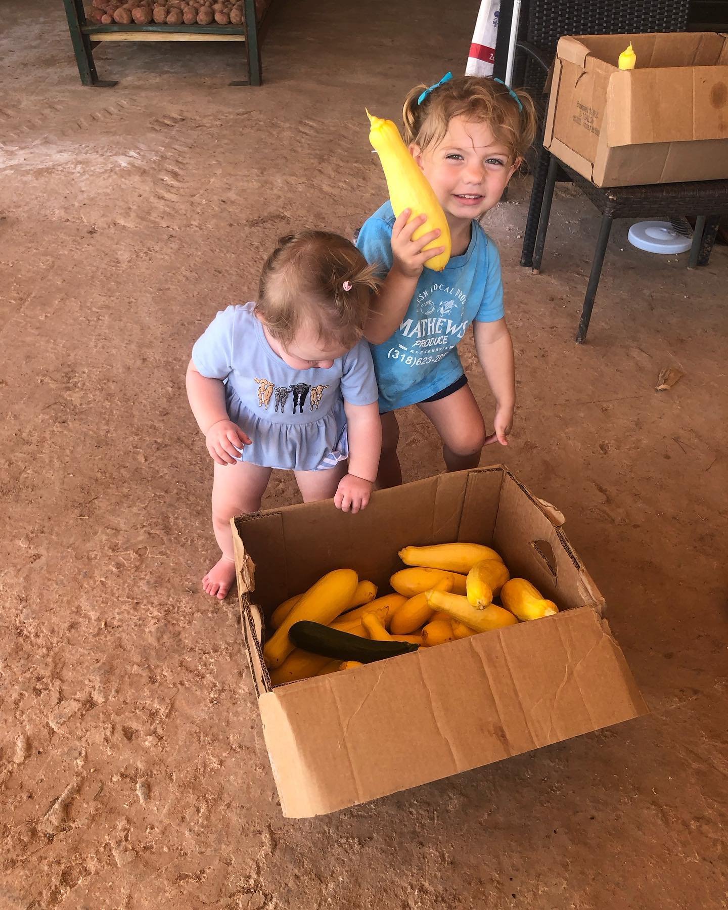 We will be OPEN tomorrow, Monday, May 15th from 4:00pm-6:00pm! Be sure to stop by and grab some squash, zucchini, and potatoes! #MathewsProduce #farm #farmstand #farmtotable #eatfresh