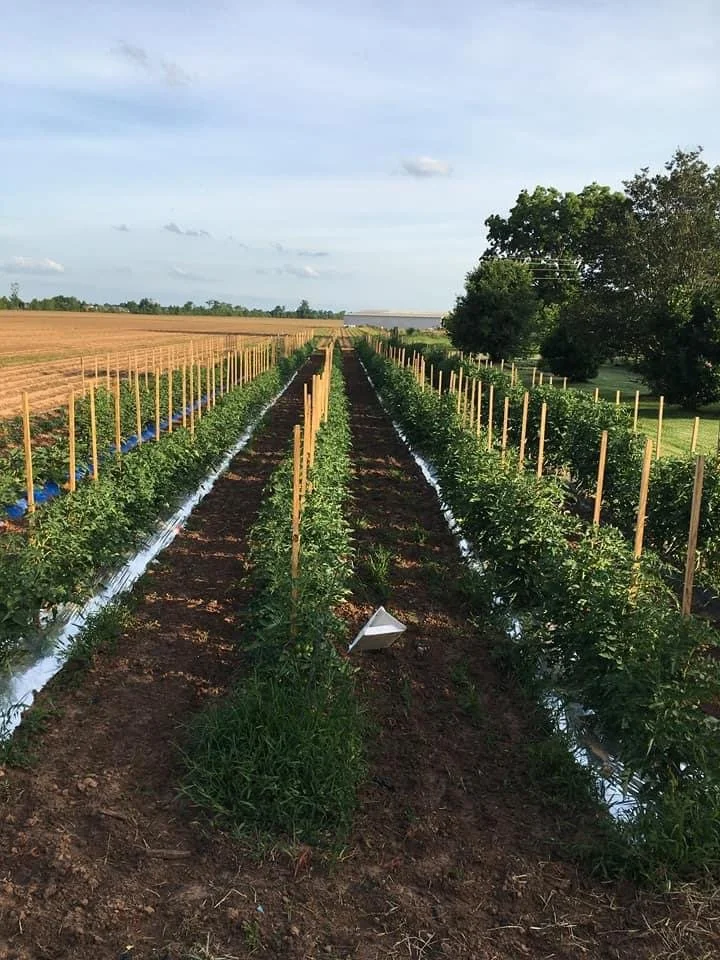 Haley Mathews - IMG_2777.JPG