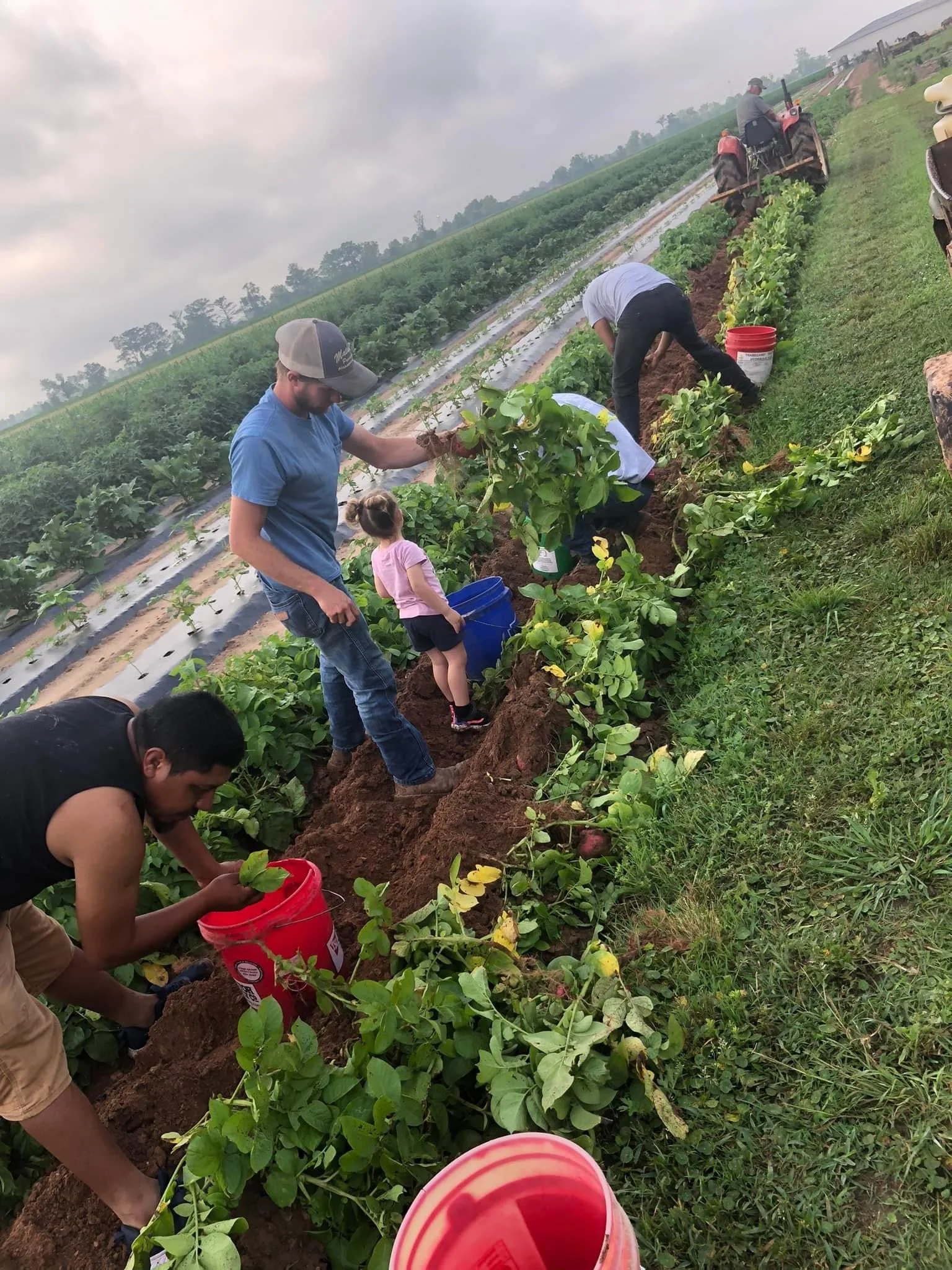 Haley Mathews - IMG_2771.JPG