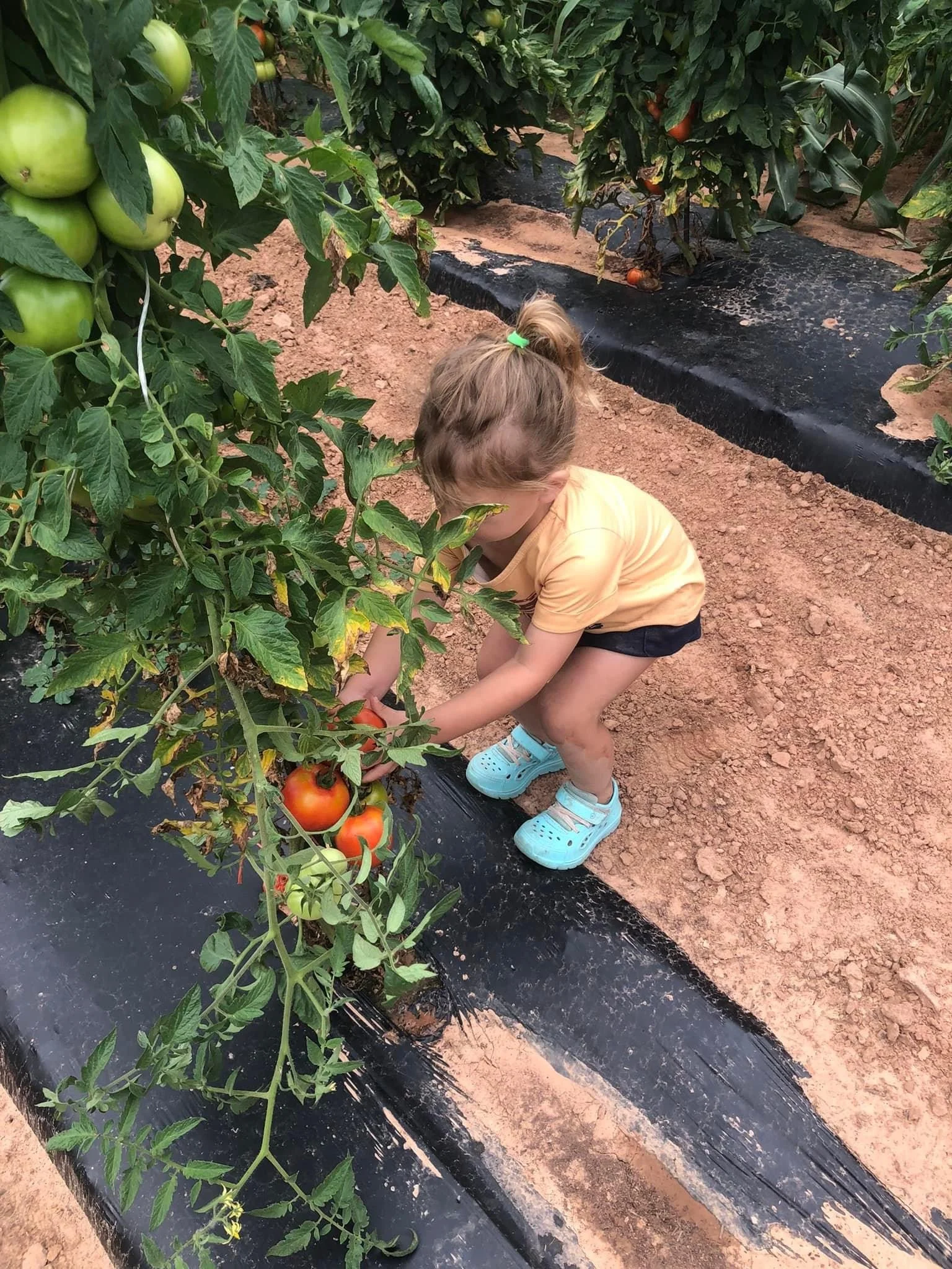 Haley Mathews - IMG_2769.JPG