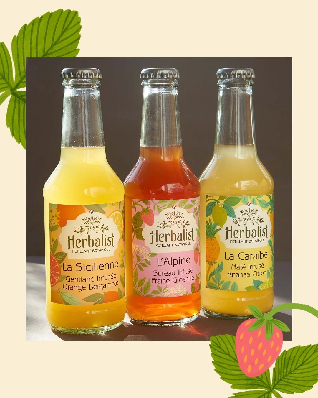 Something fresh for summer! 🍋 I had the joy of illustrating the new Herbalist botanical drink labels. From sketch to sip, we set out to capture the vibrancy of flavour and the colours of nature&rsquo;s elements, while preserving the brand&rsquo;s el