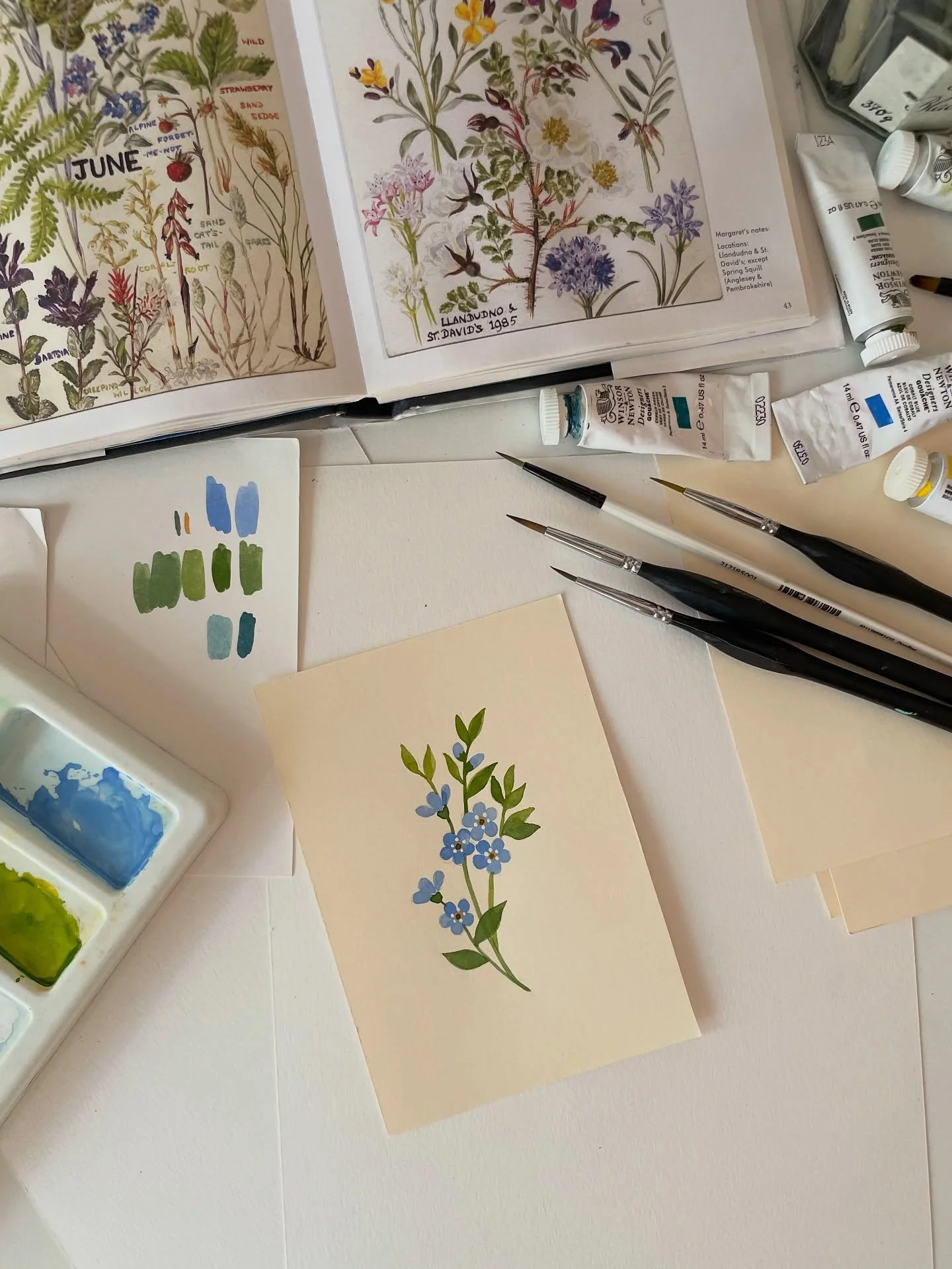 ✨ painting some tiny forget-me-nots 

It&rsquo;s been a while since I picked up my gouache paints, but there&rsquo;s something truly magic in creating things by hand.

#gouache #painting #botanicalart #flowerIllustration #natureinspiredart #paintingf
