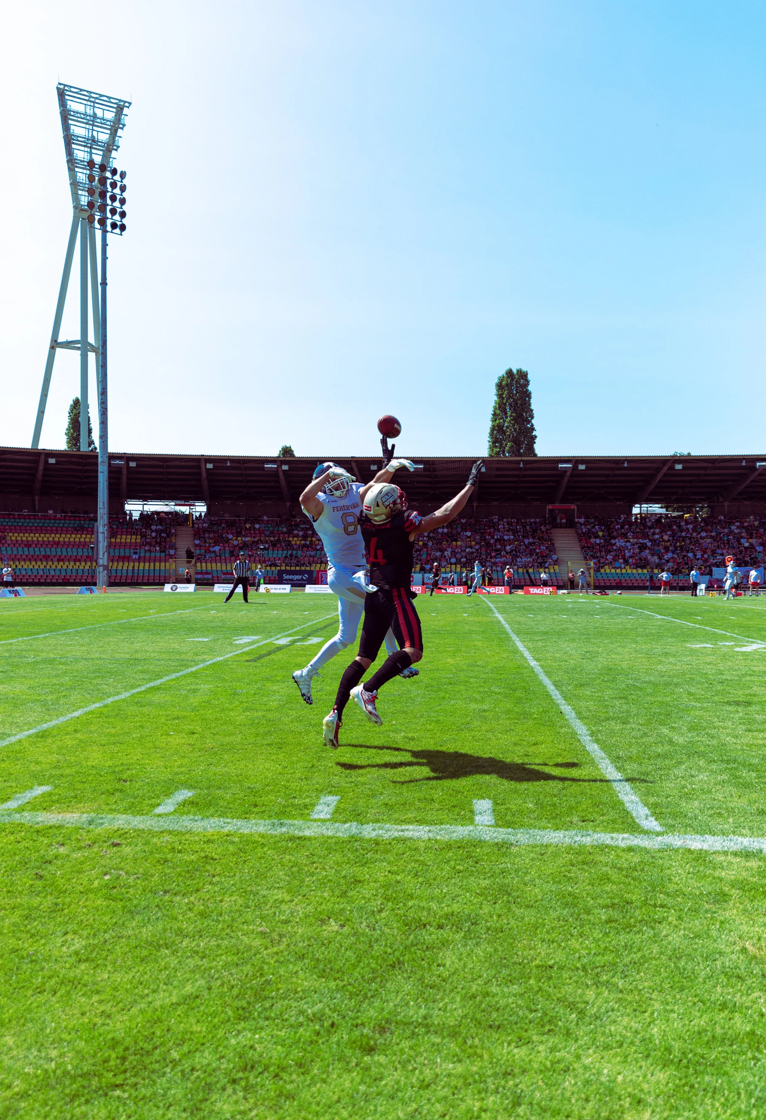 BerlinThunder Heimspiel_Fotograf_David Böll_178.jpg