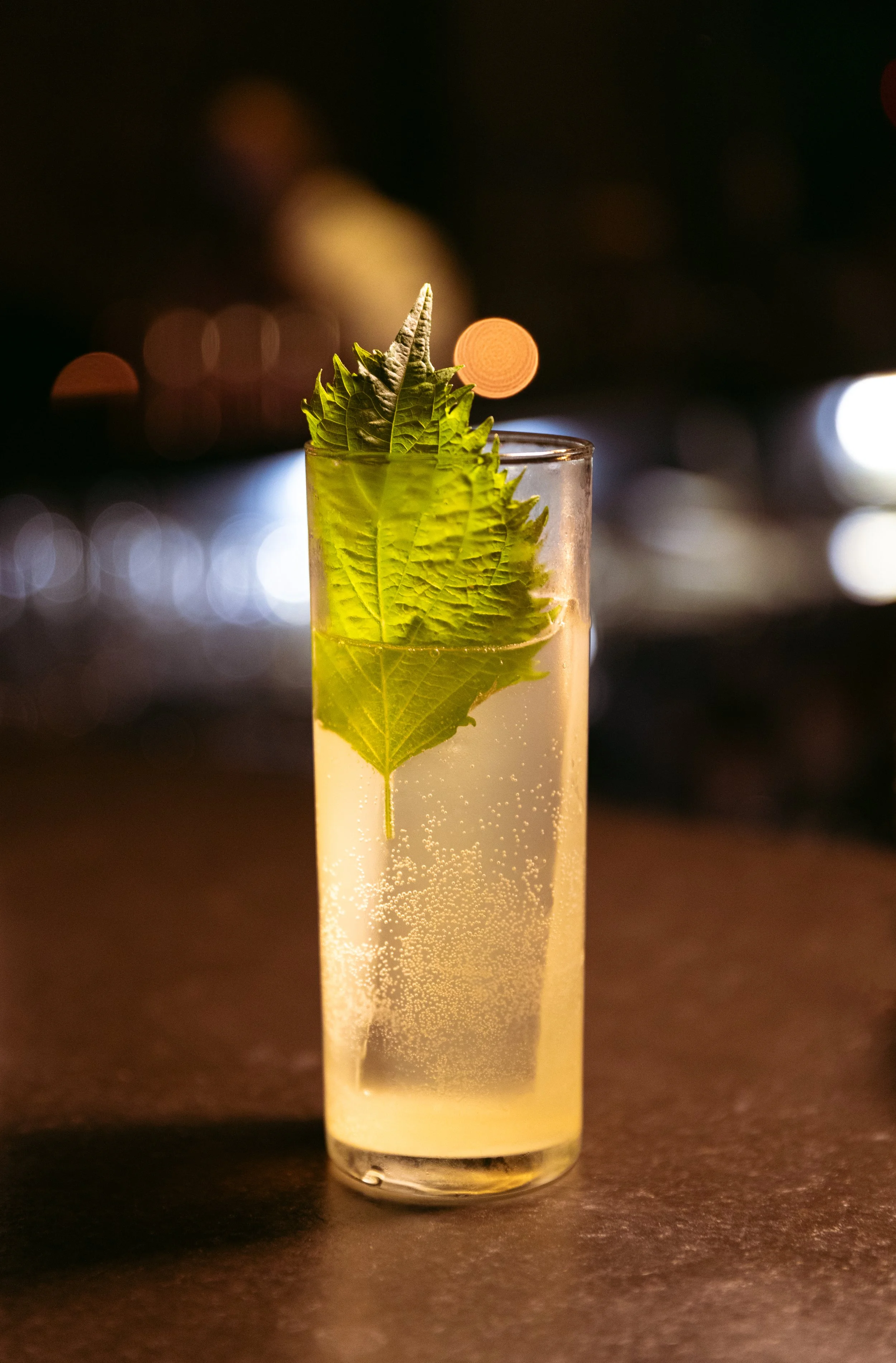 BAR NESTA_Photographer_David Böll_2.jpg