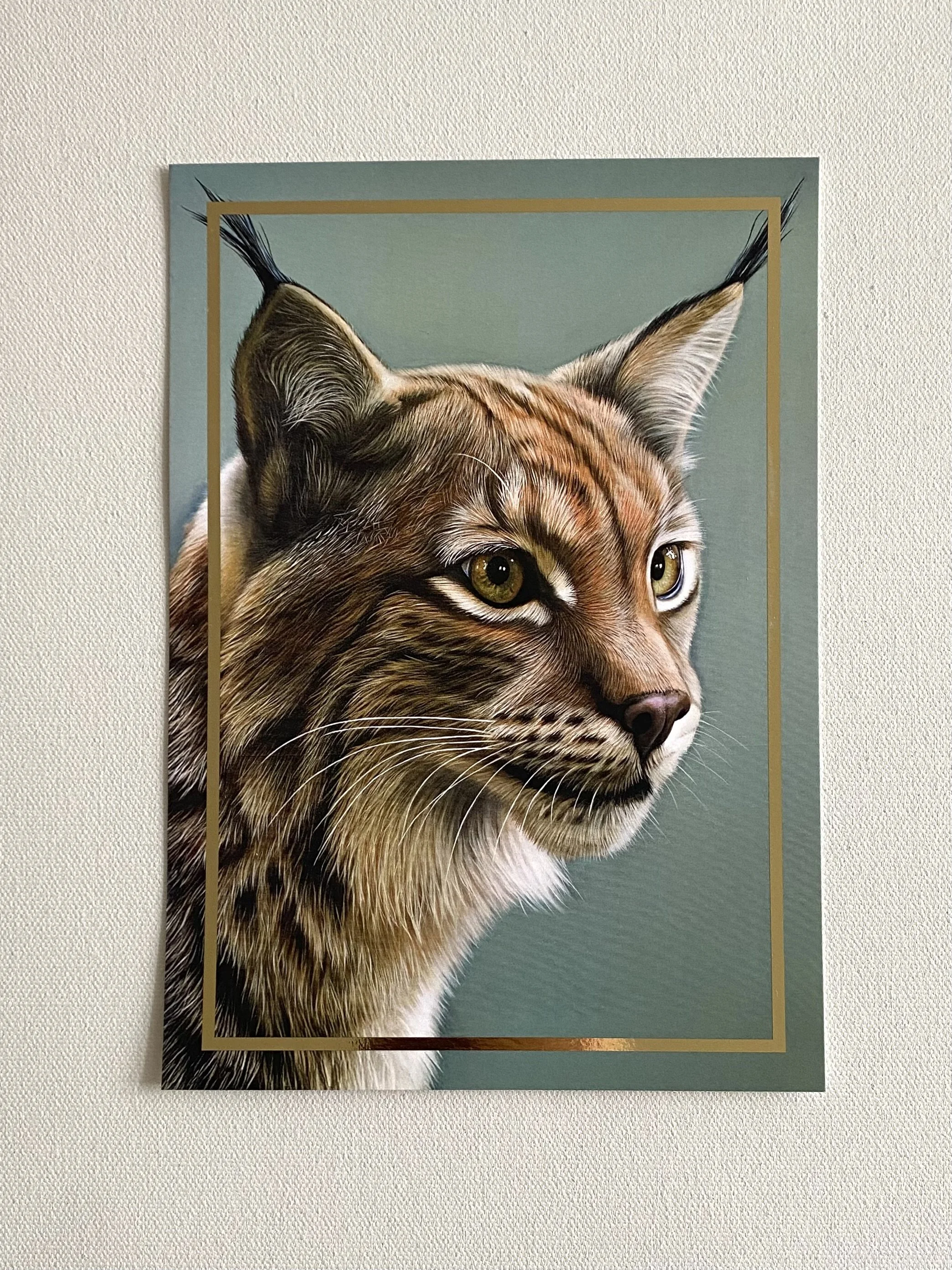 postcard green lynx.jpg