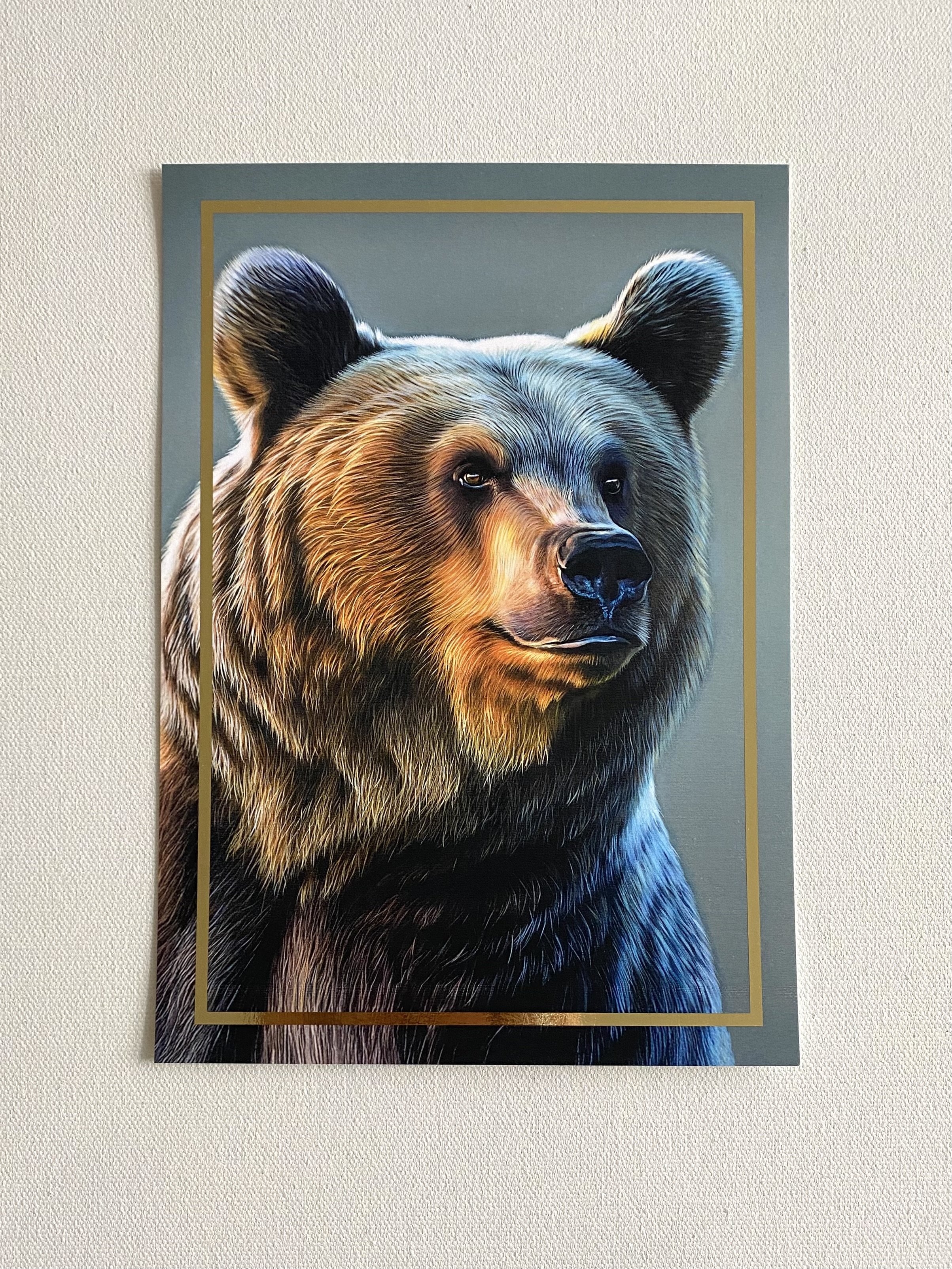 postcard bear.jpg