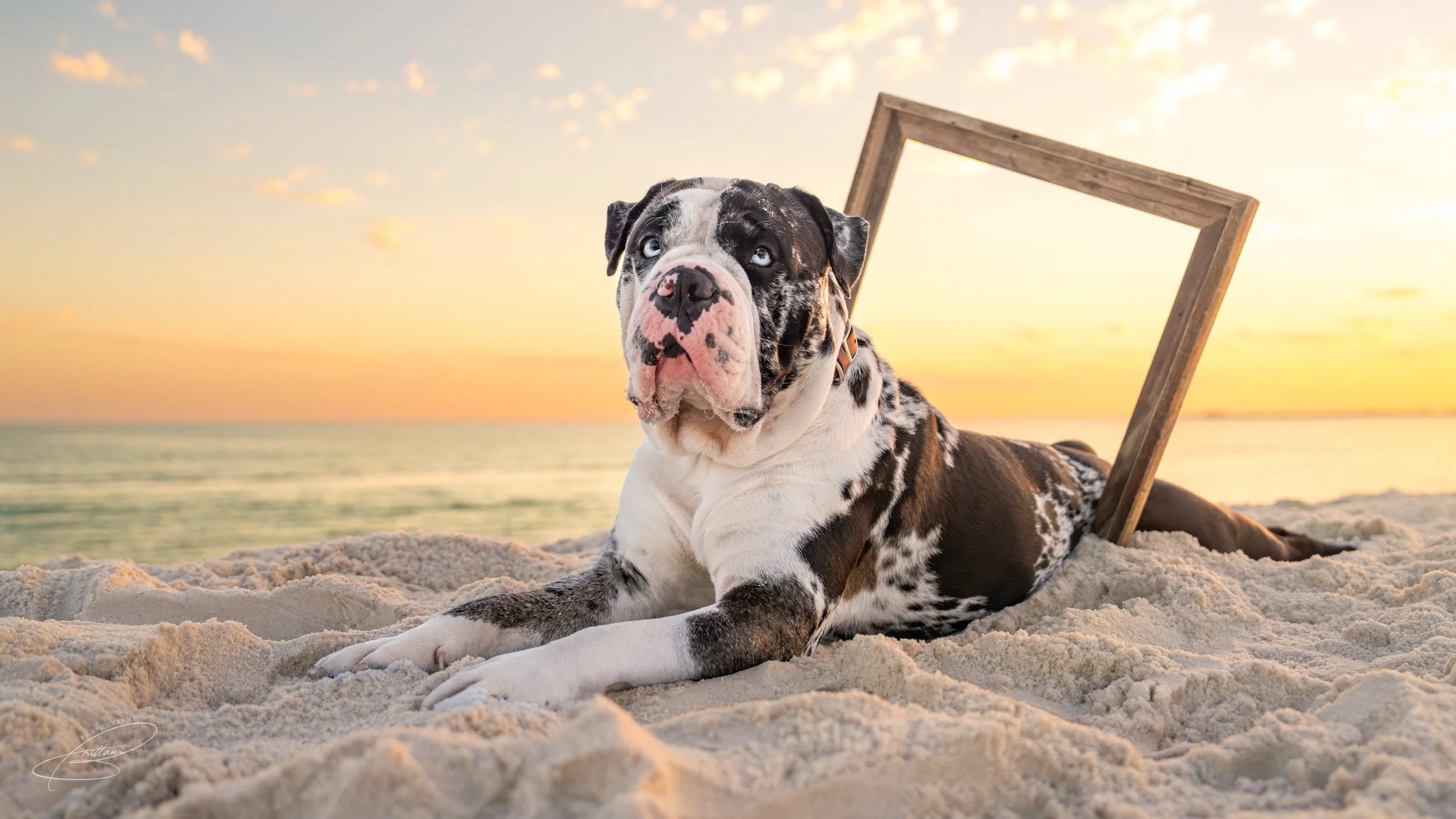 20240415 -- DSC1899b.jpg