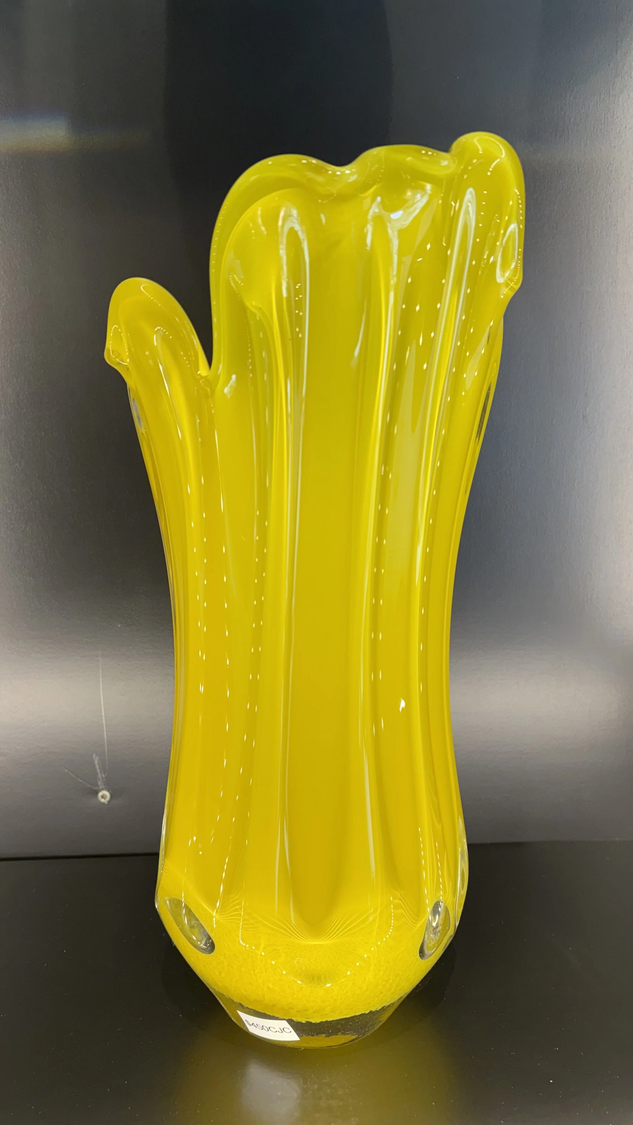 Photo Mar 25 2026, 12 02 06 PM.jpg