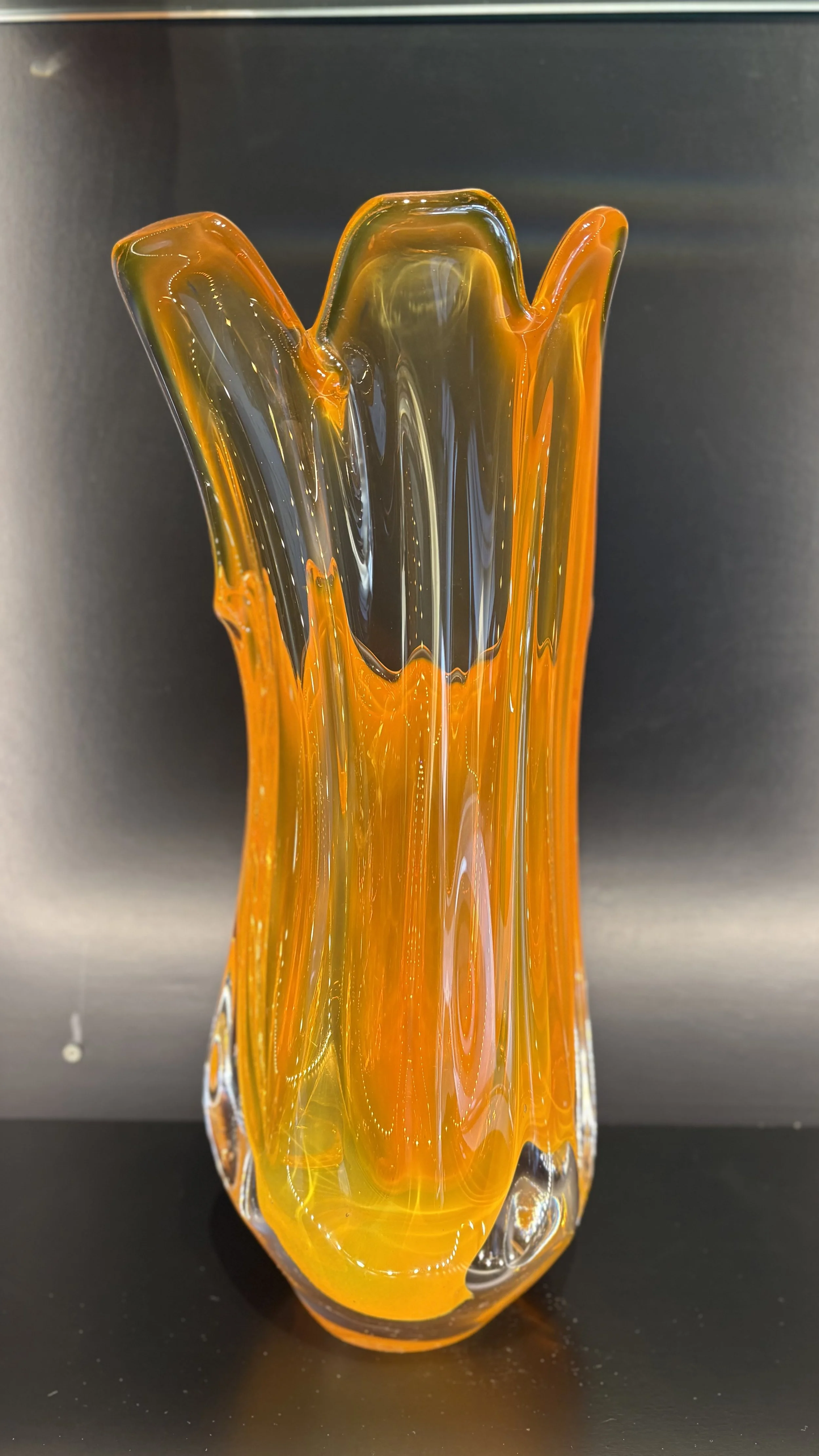 Photo Mar 25 2026, 12 36 41 PM.jpg