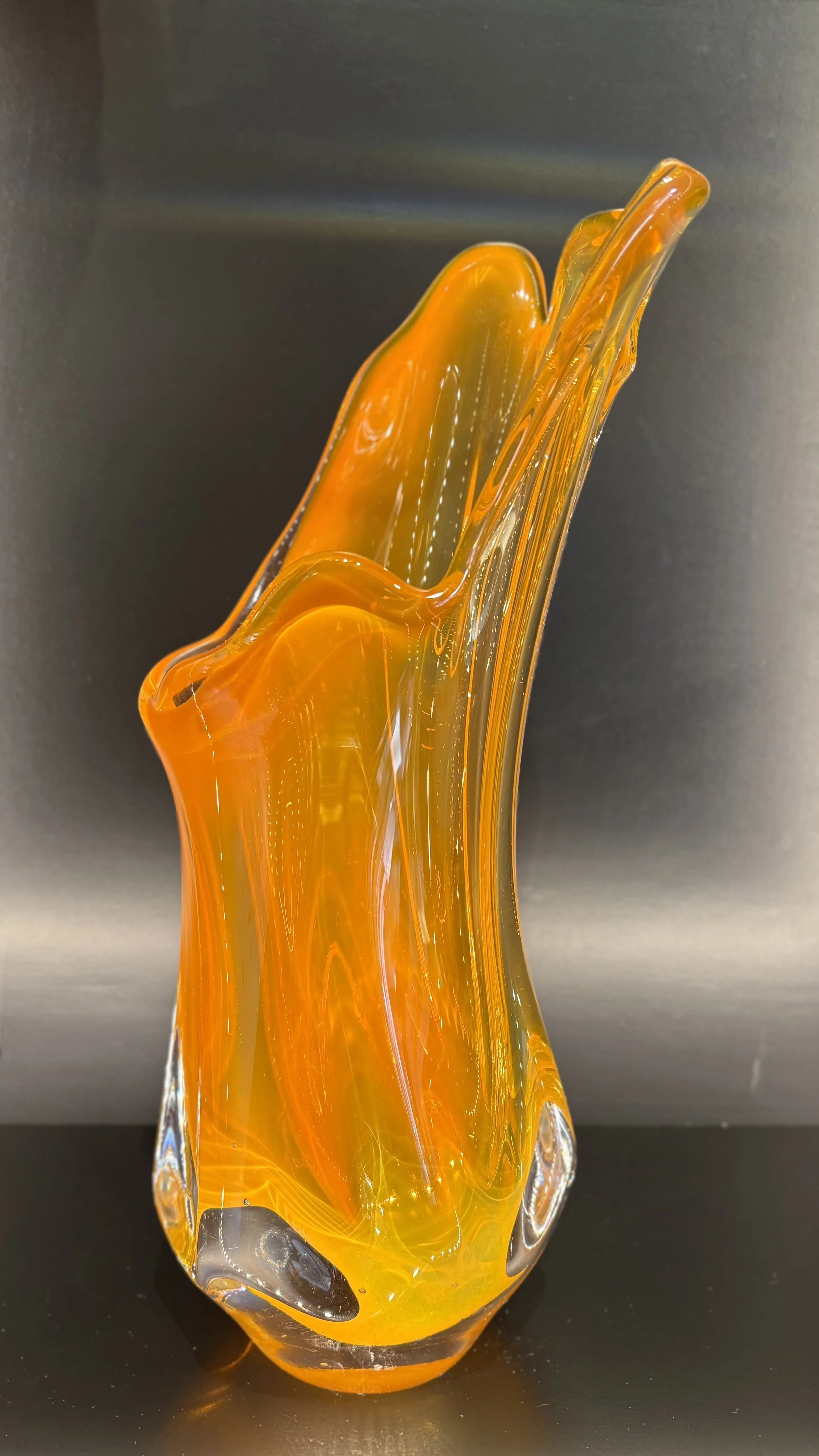 Photo Mar 25 2026, 12 36 37 PM.jpg