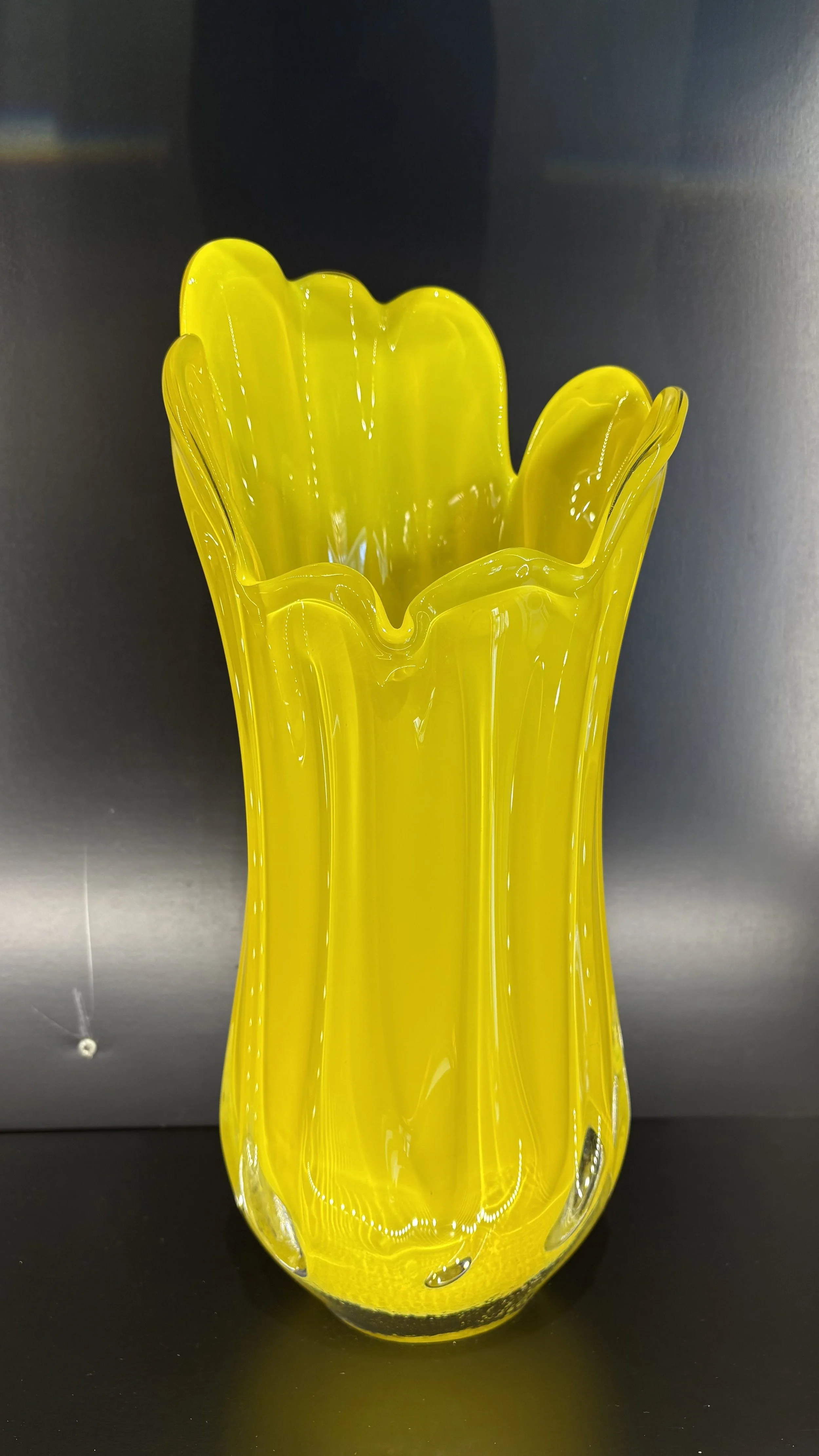 Photo Mar 25 2026, 12 01 38 PM.jpg