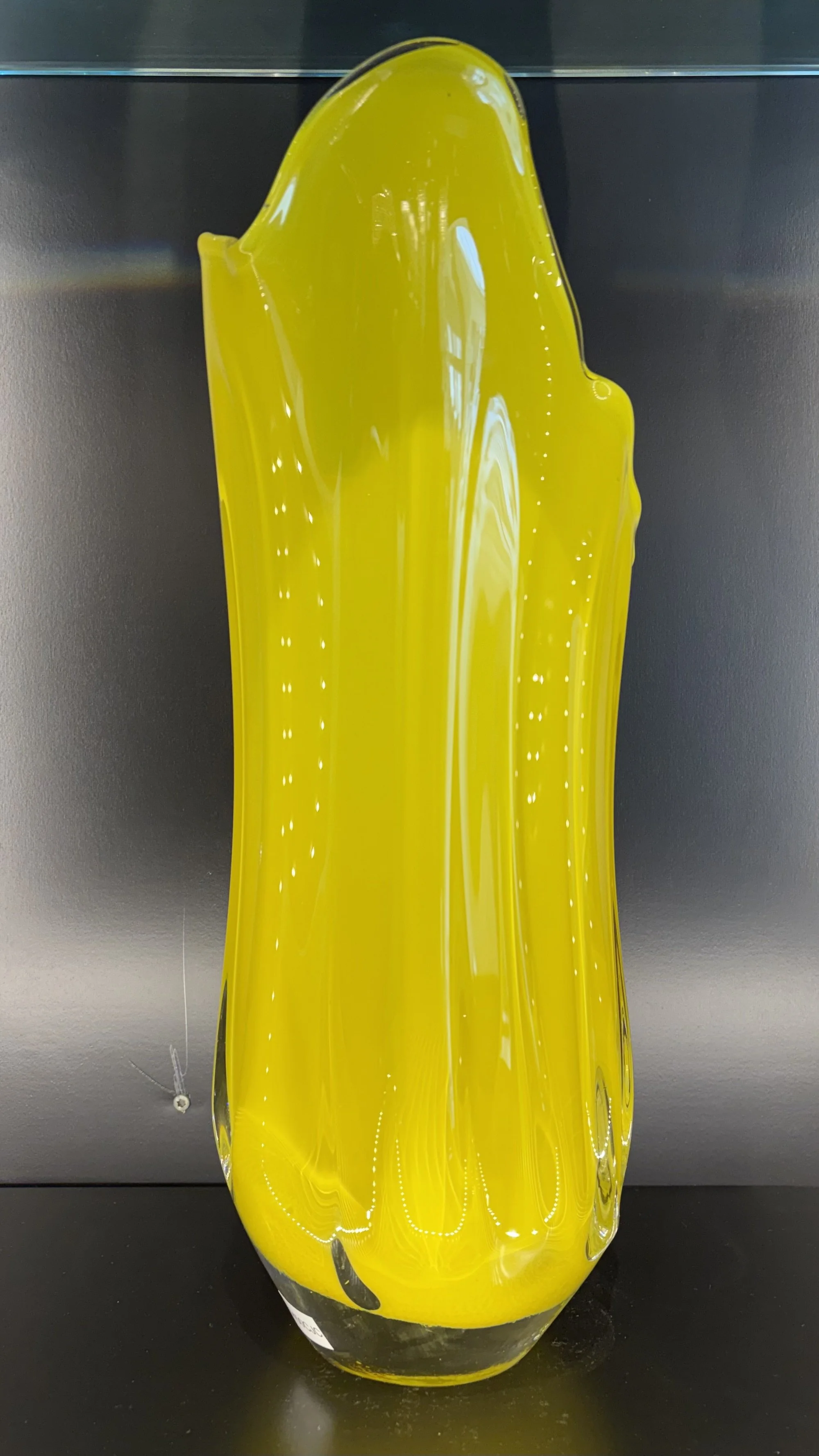 Photo Mar 25 2026, 12 05 37 PM.jpg