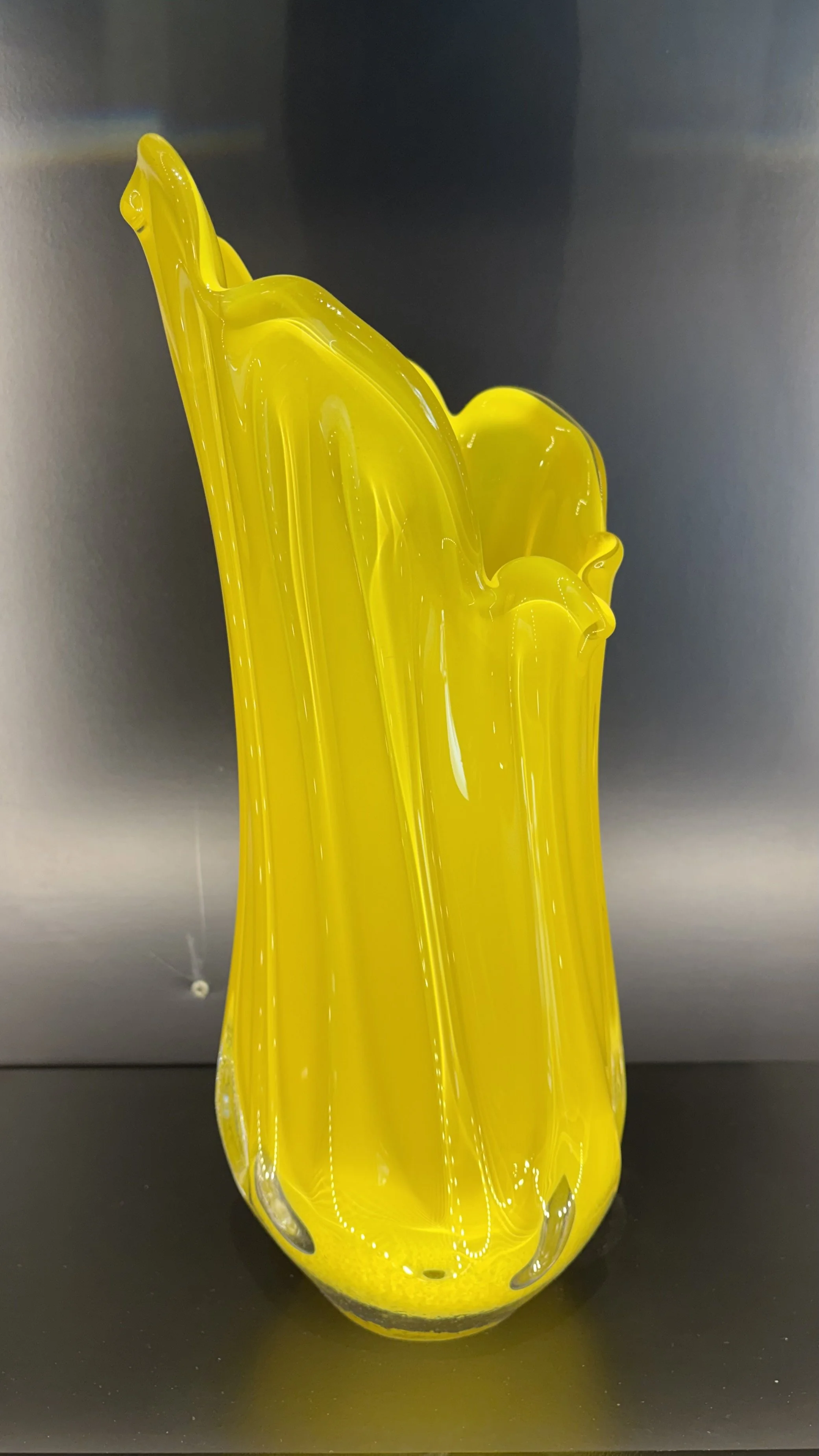 Photo Mar 25 2026, 12 02 12 PM.jpg