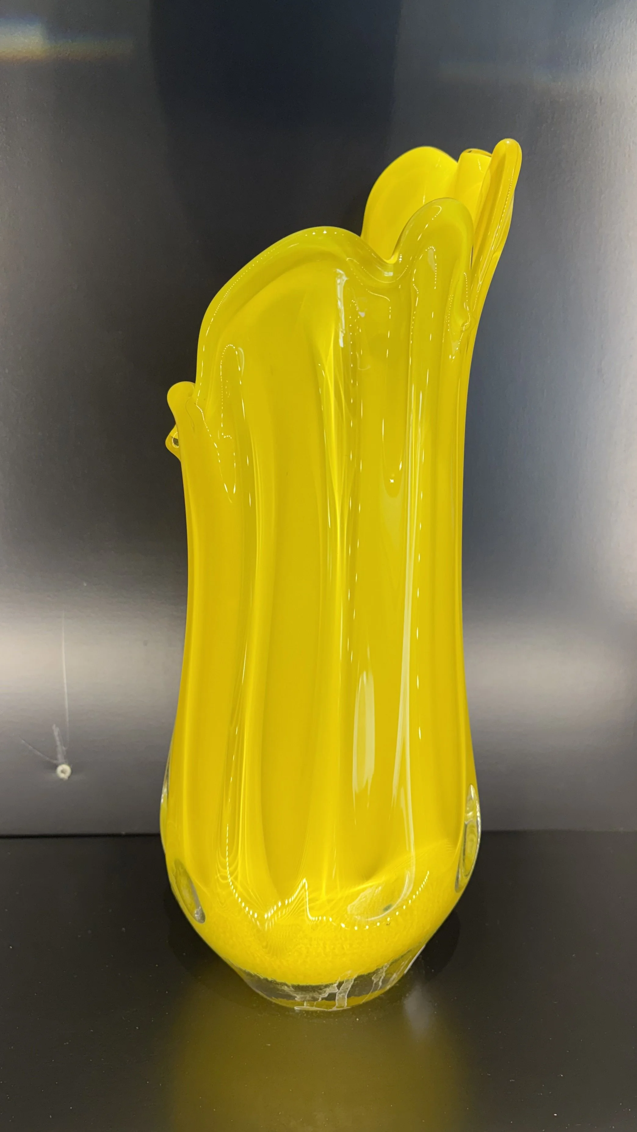 Photo Mar 25 2026, 12 01 47 PM.jpg