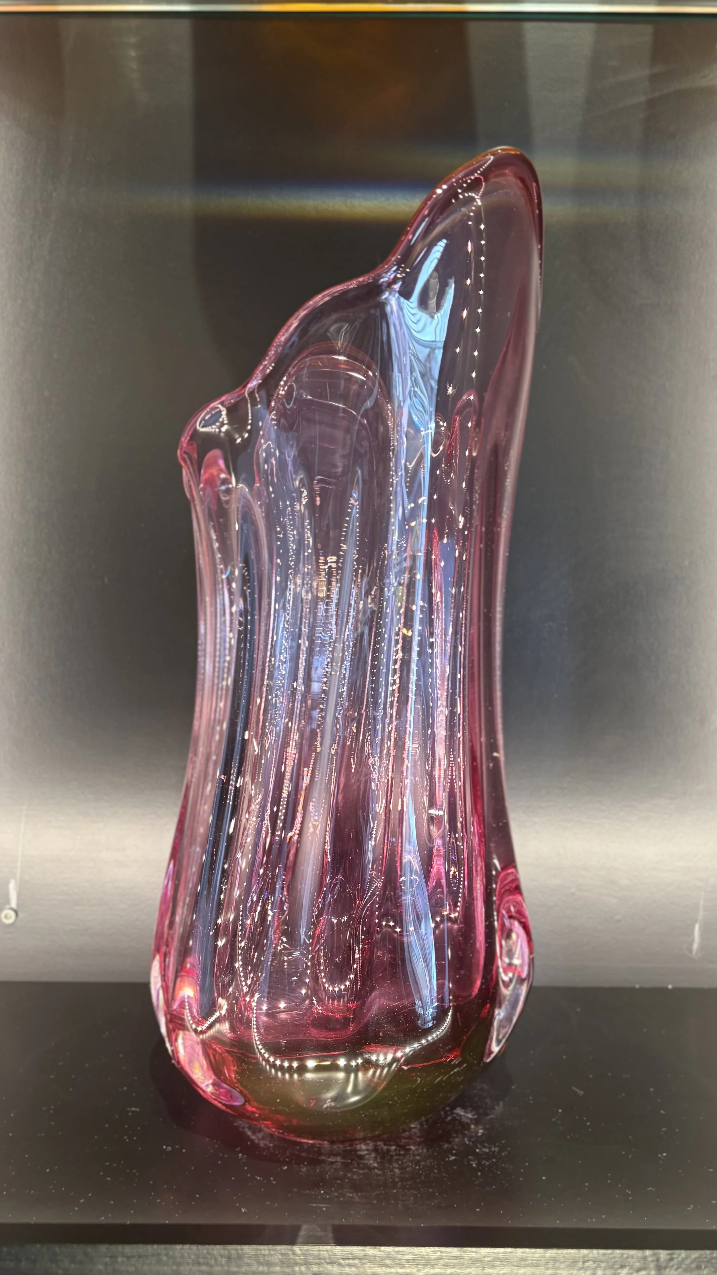 Photo Mar 25 2026, 1 12 47 PM.jpg