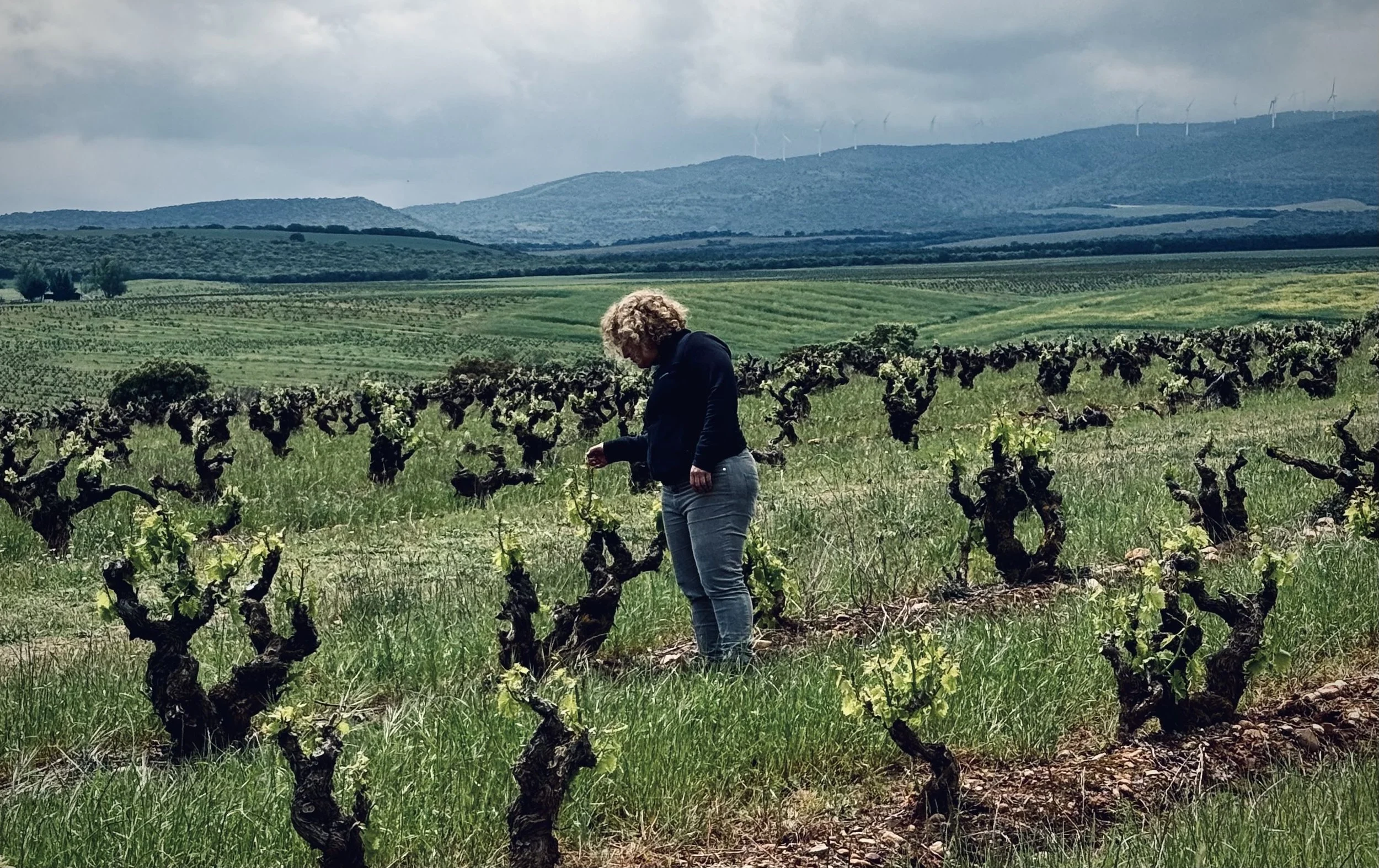 La enóloga Bárbara Palacios revisa las viñas viejas de Casa La Rad, en la Rioja Oriental.