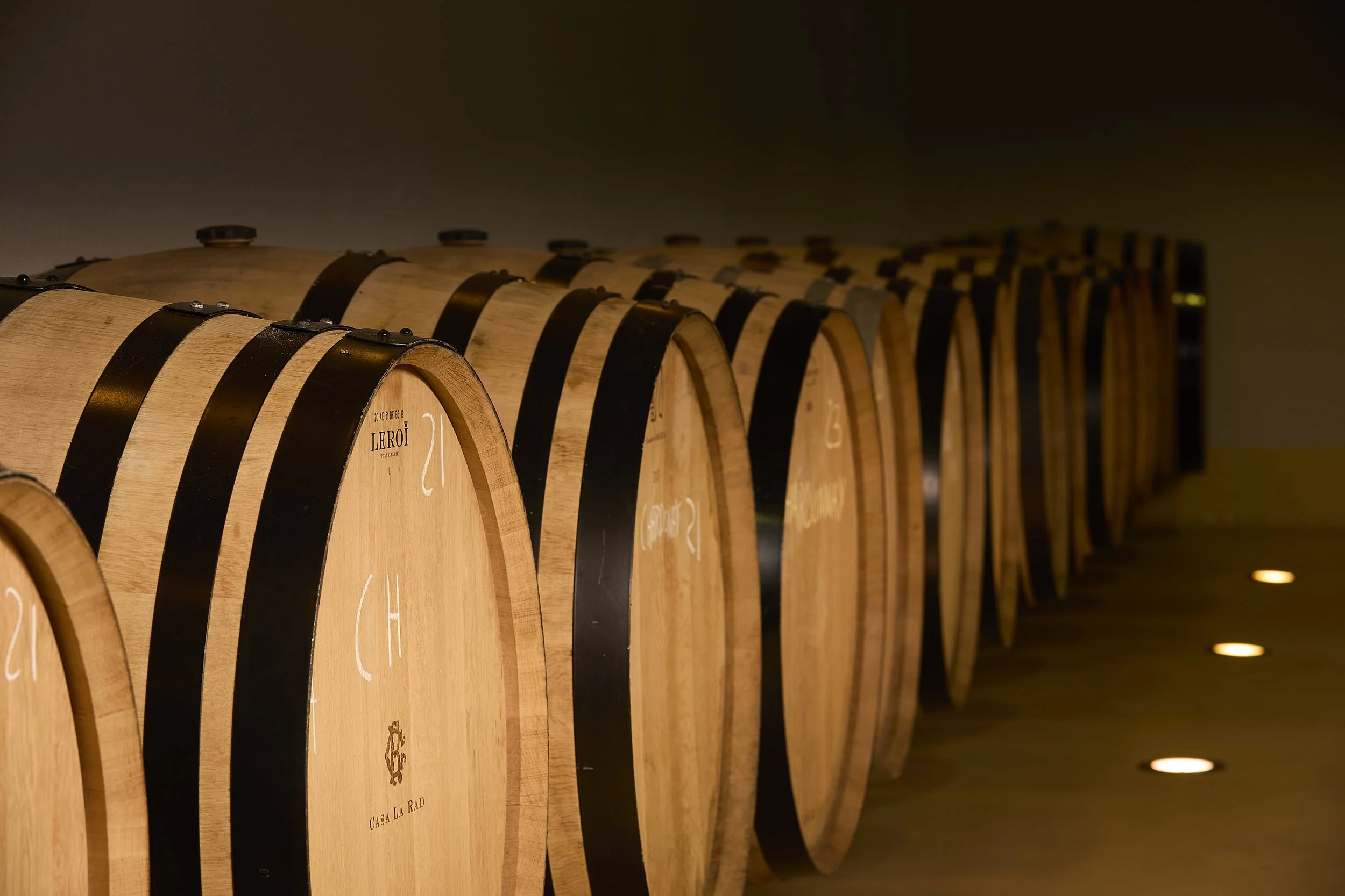 Barricas de crianza en la bodega Casa La Rad