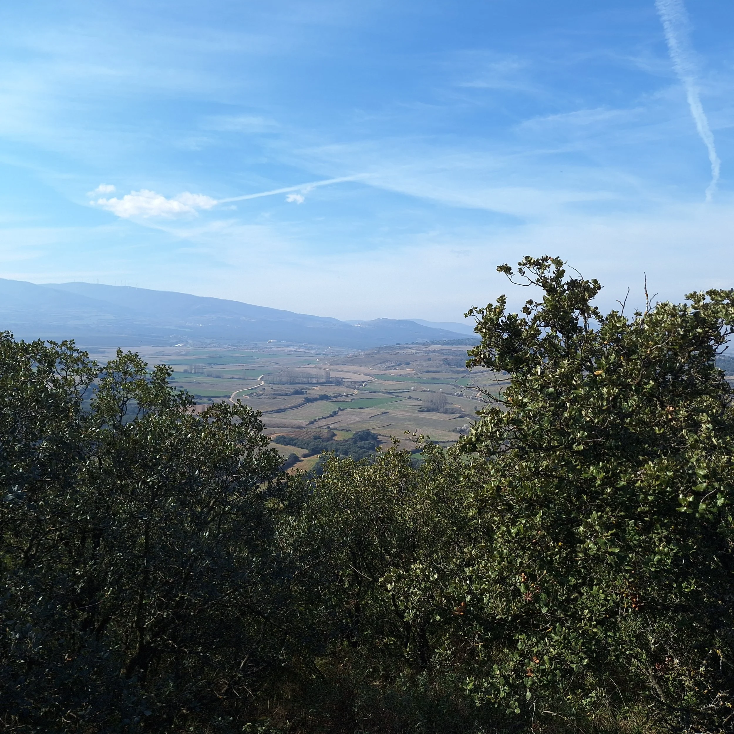 Bosque y viñedos dentro de la finca Casa La Rad en Valle Ocón, Rioja Oriental