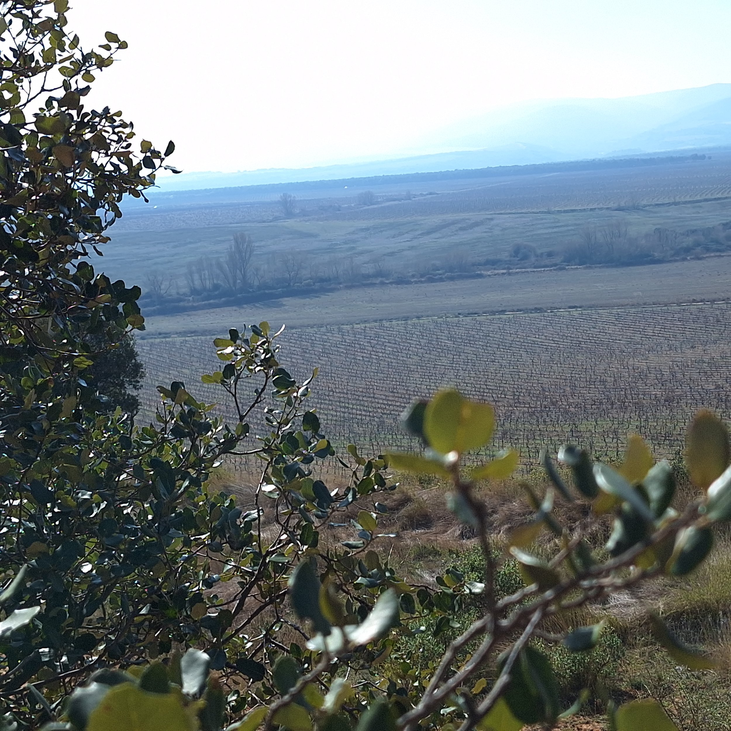 Paisaje natural del Valle de Ocón alrededor de la finca Casa La Rad