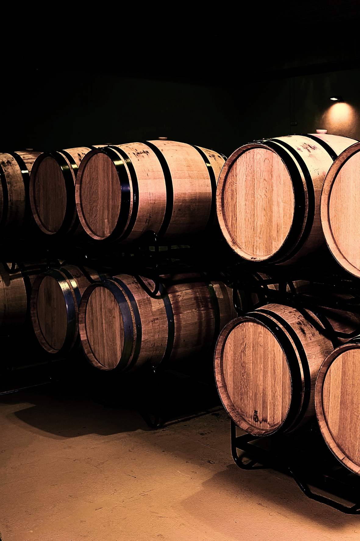 Vino envejecido en barricas de roble francés en la bodega Casa La Rad, en la Rioja Oriental