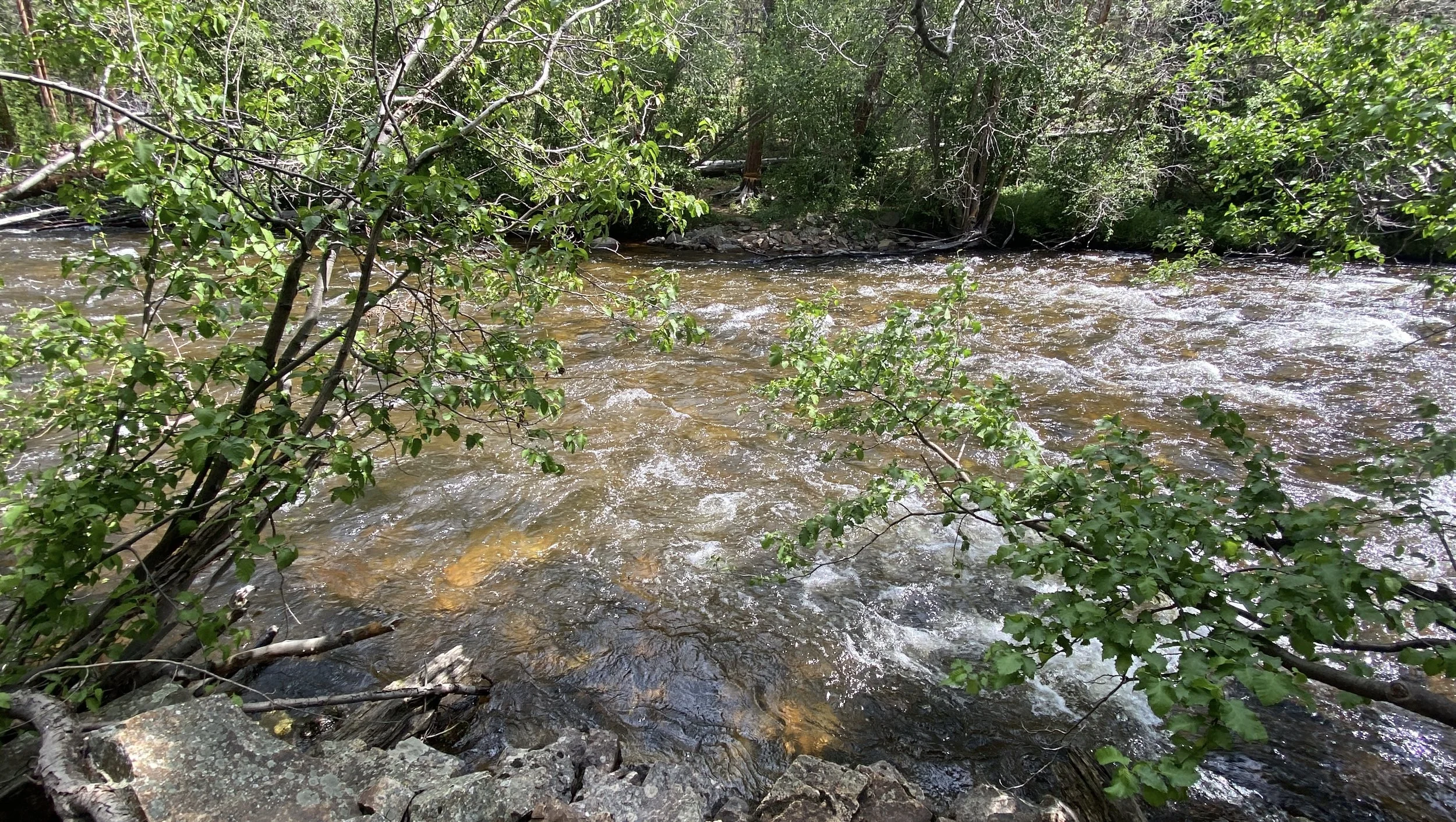 ⚠️Trail Alert: Cache la Poudre River Ford