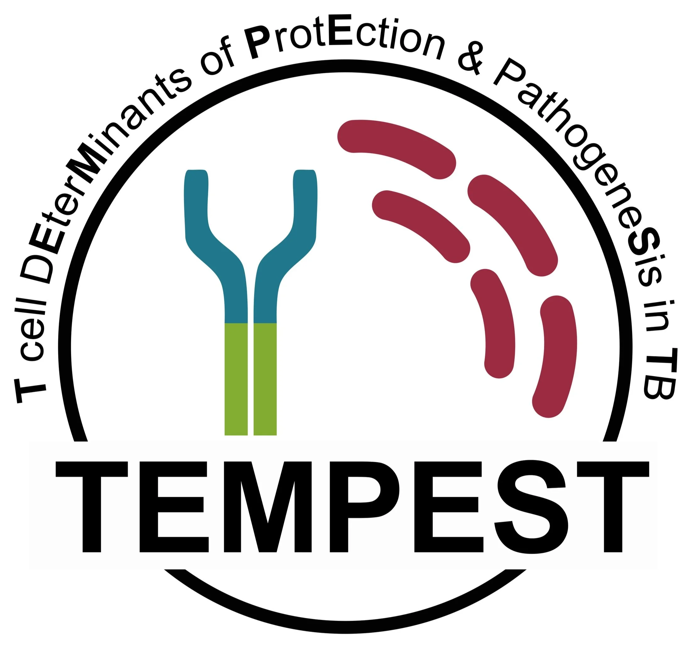 TEMPEST_Logo8_BlackText.jpg