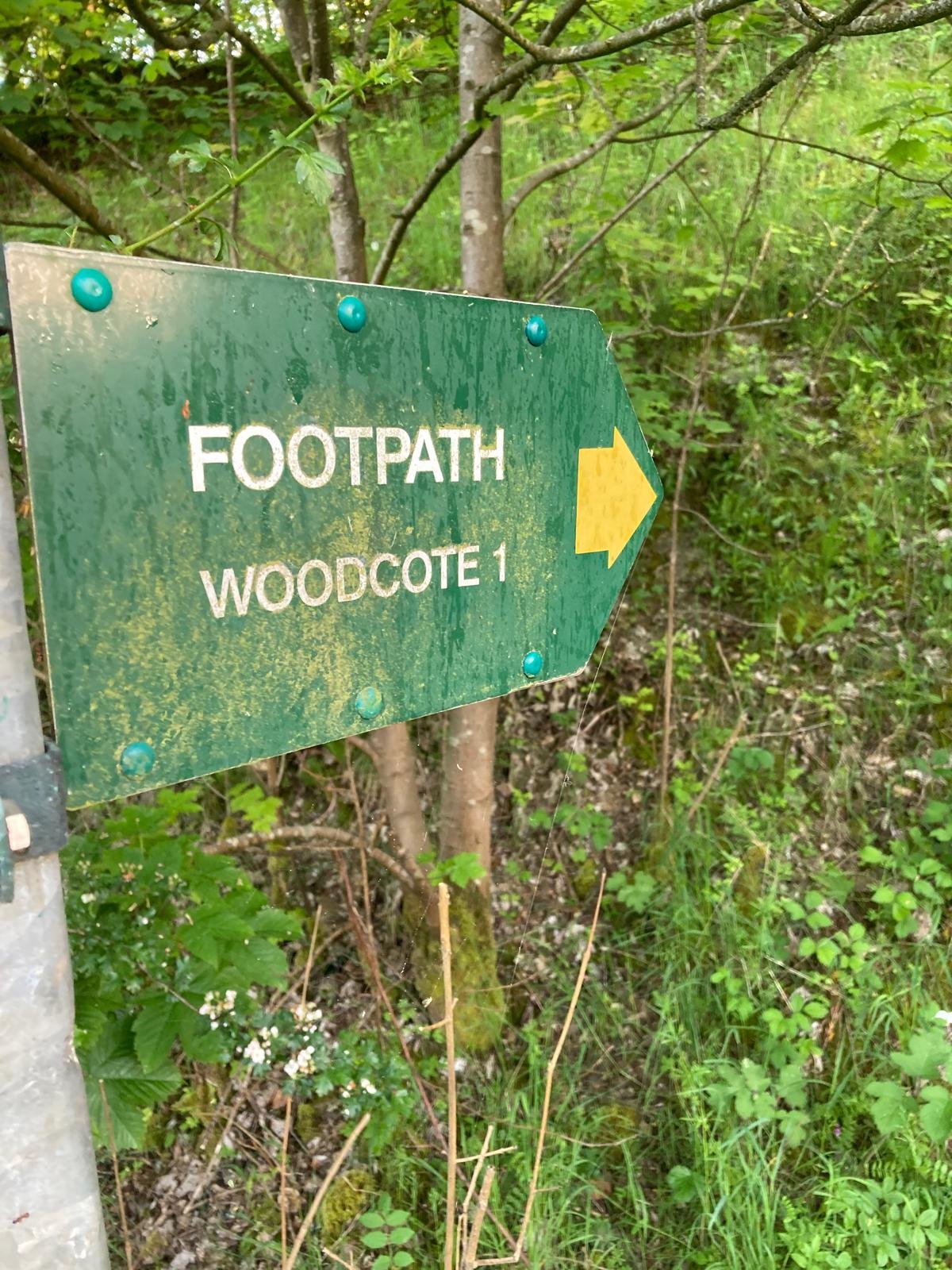 Woodcote_01.jpeg