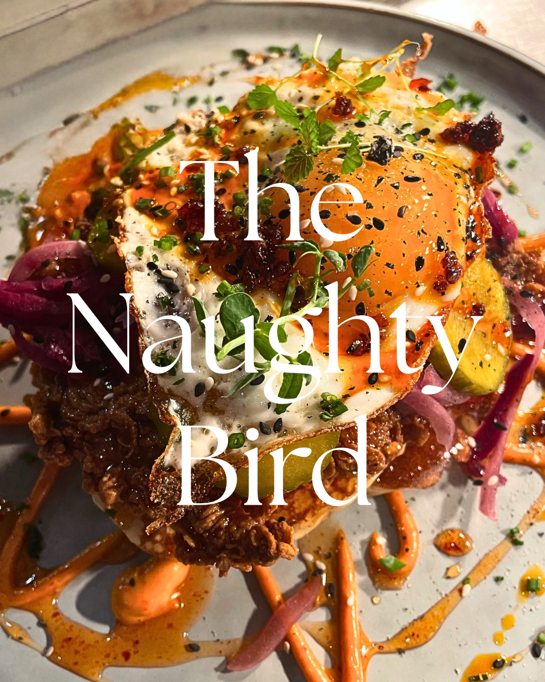 The Naughty Bird.PNG