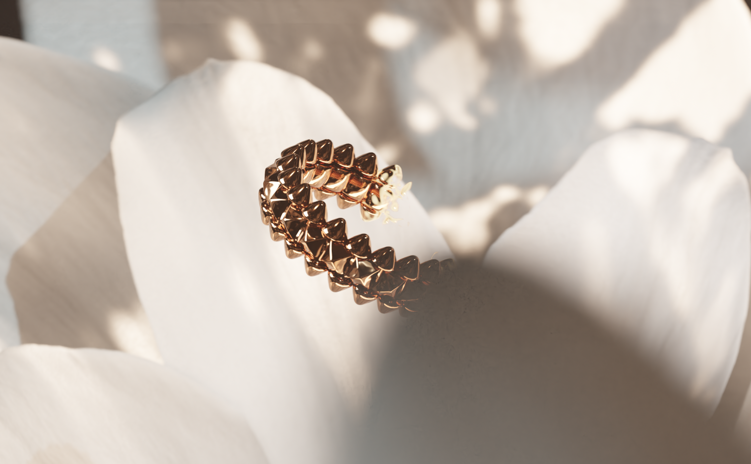 Screenshot 2024-11-18 at 08.47.53.png