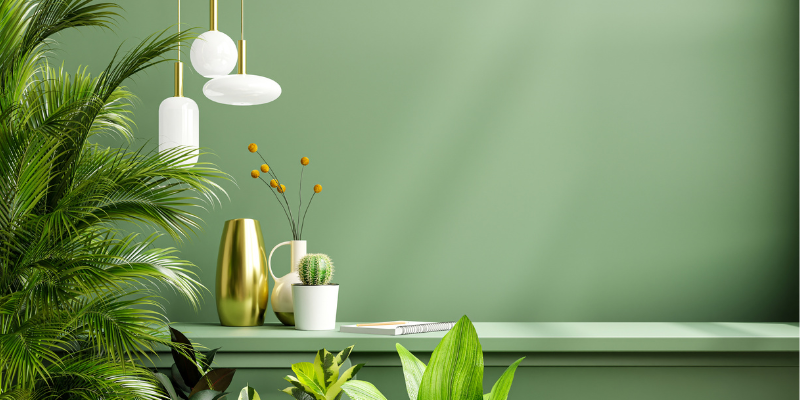 8 Steps to Have a Non-Toxic Home