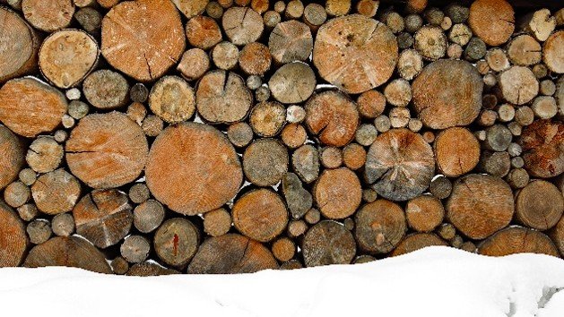 cord of wood.jpg