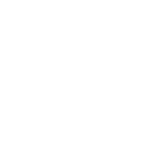 Bandwagon Arts, Inc.