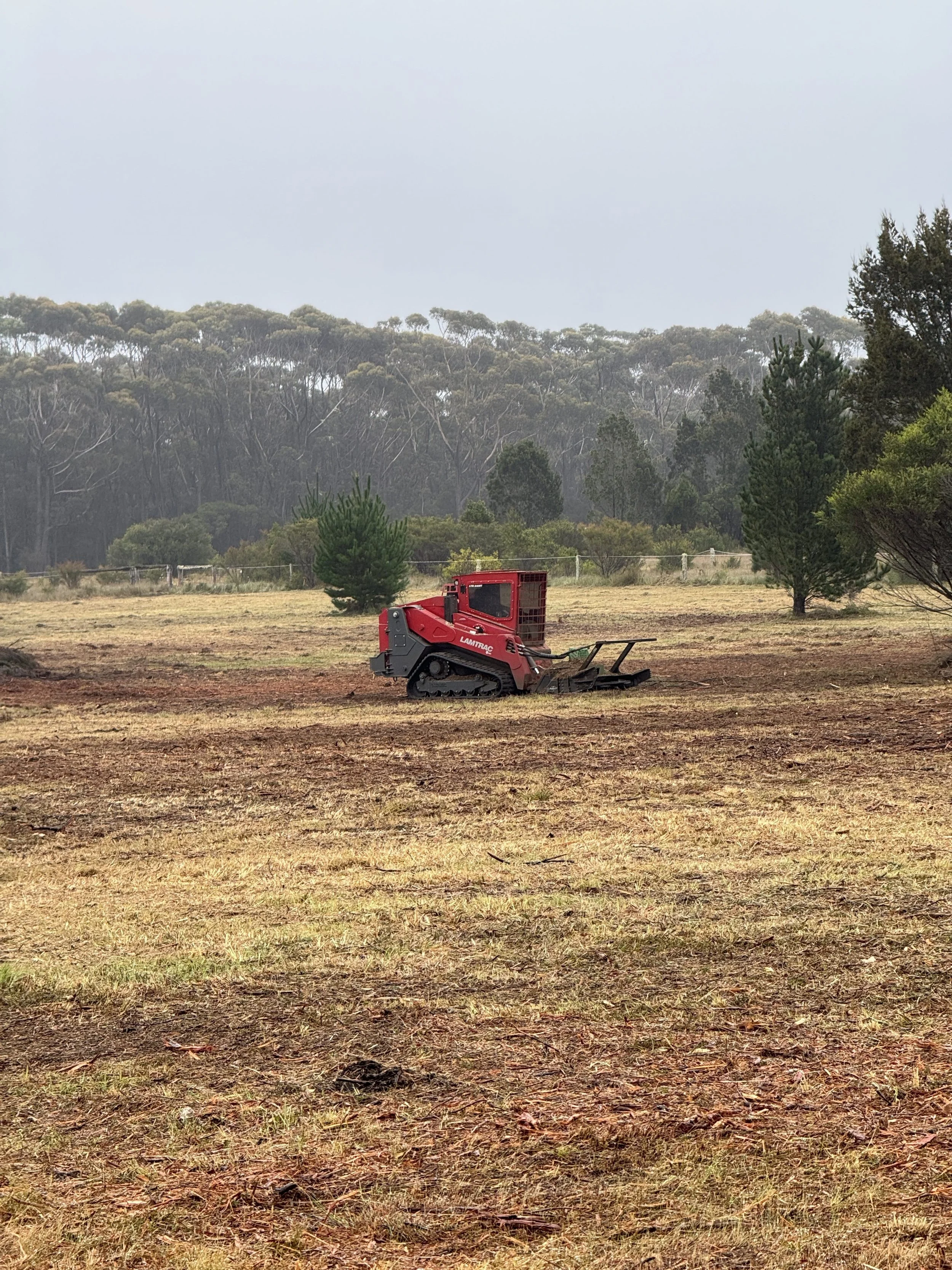 FENCE LINE CLEARING