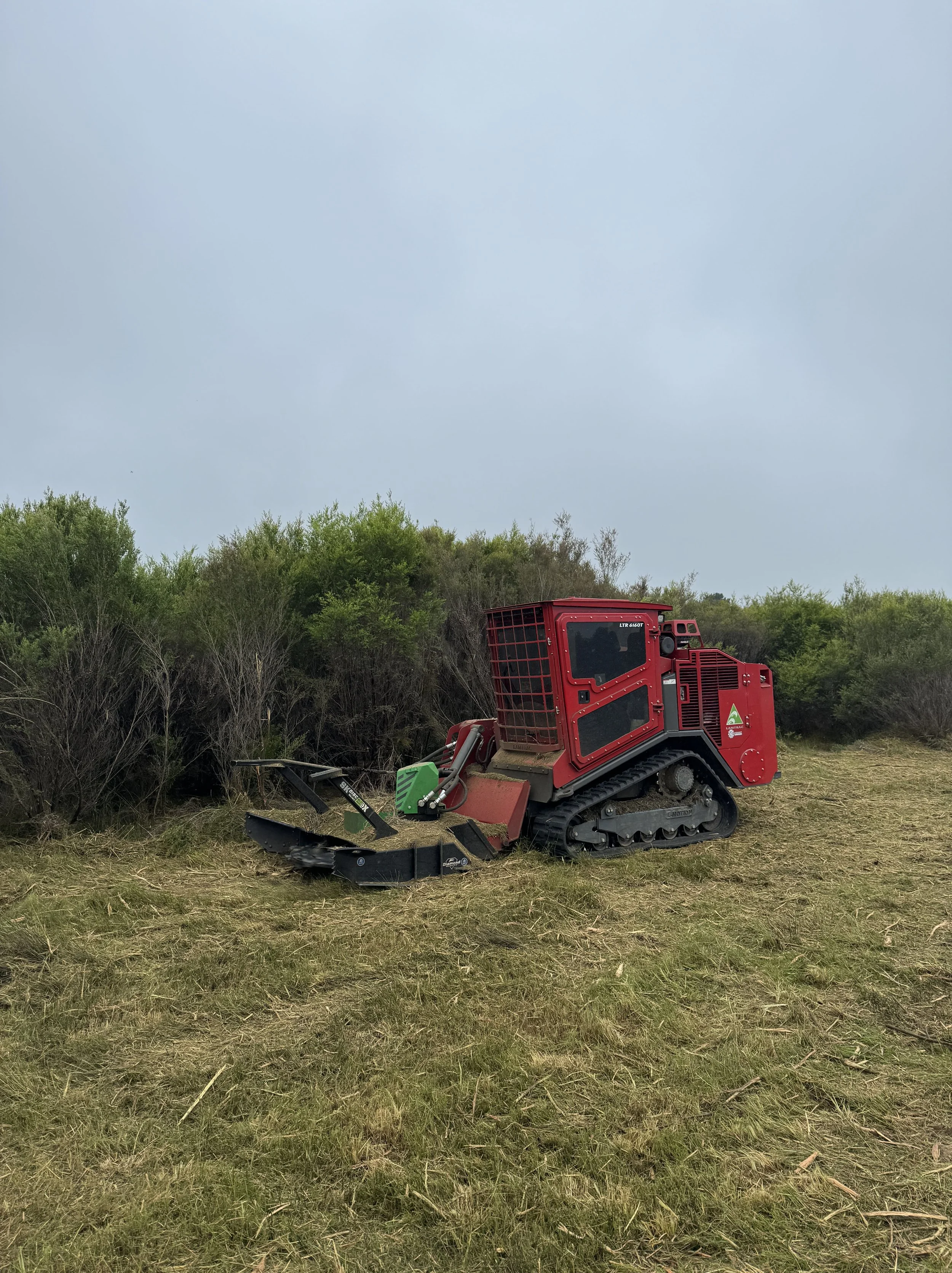 VEGETATION MANAGEMENT