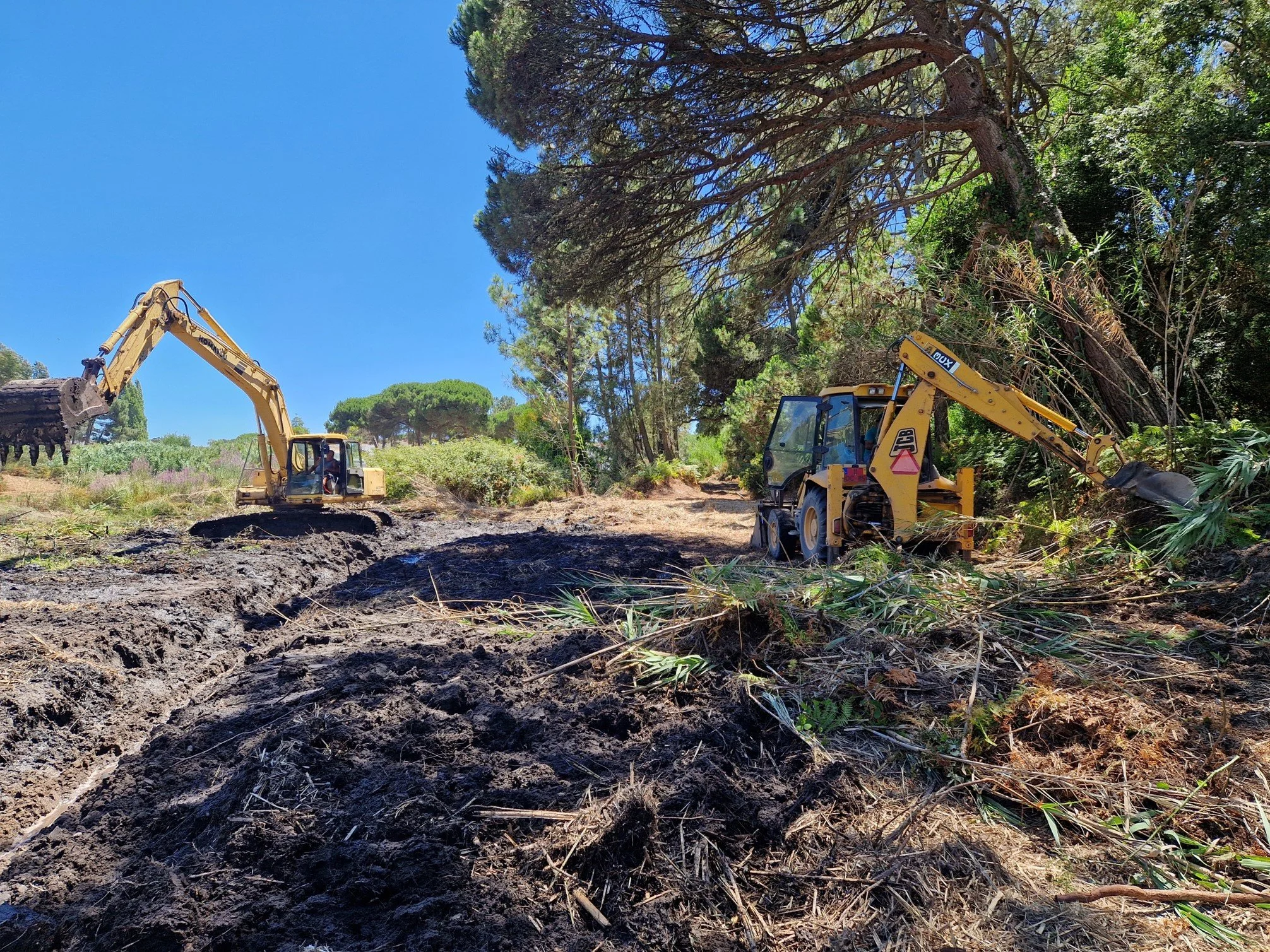 limpeza terrens.jpg