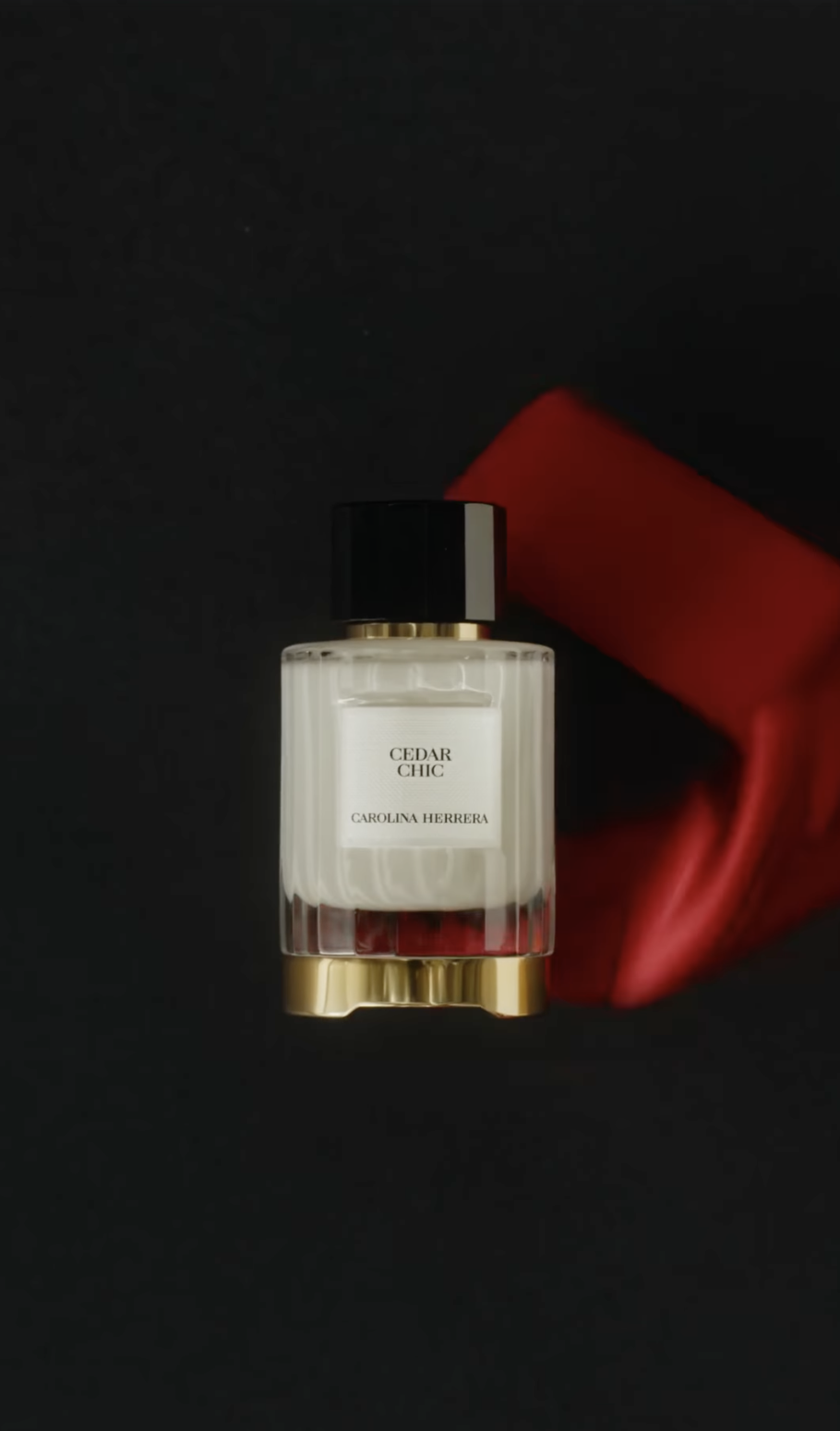 CAROLINA HERRERA X CEDAR CHIC