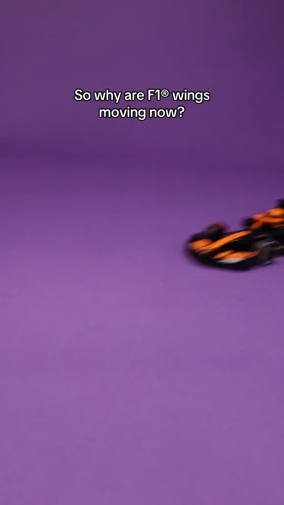 LEGO X F1 WINGS
