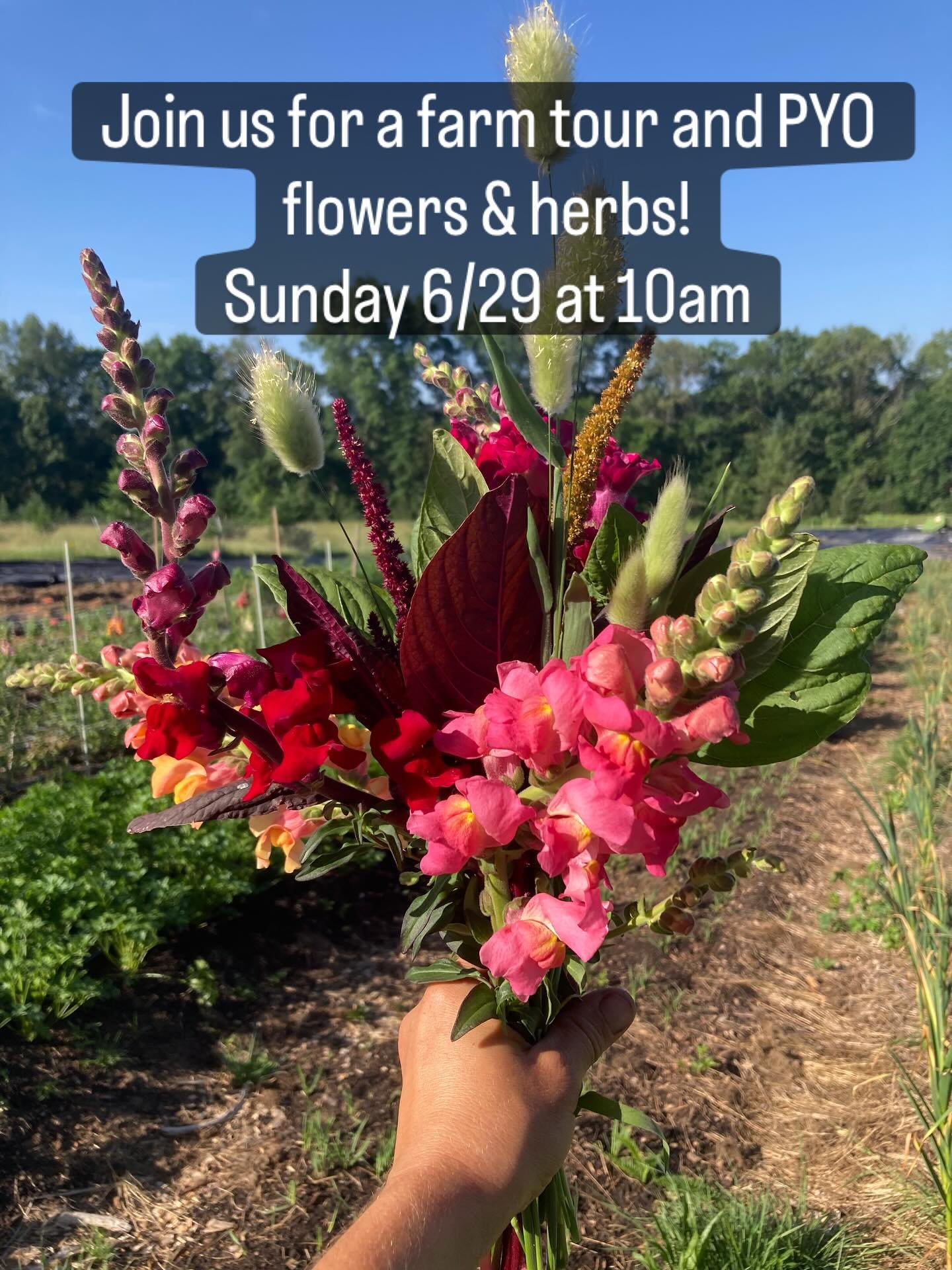 Have you been wanting to check out Evergreen Farm? We&rsquo;re hosting farm tours this Sunday from 10am-12pm so you can see our animals and we will be open for PYO flowers and herbs. 

Don&rsquo;t forget about Full body fitness in the barn at 9am wit