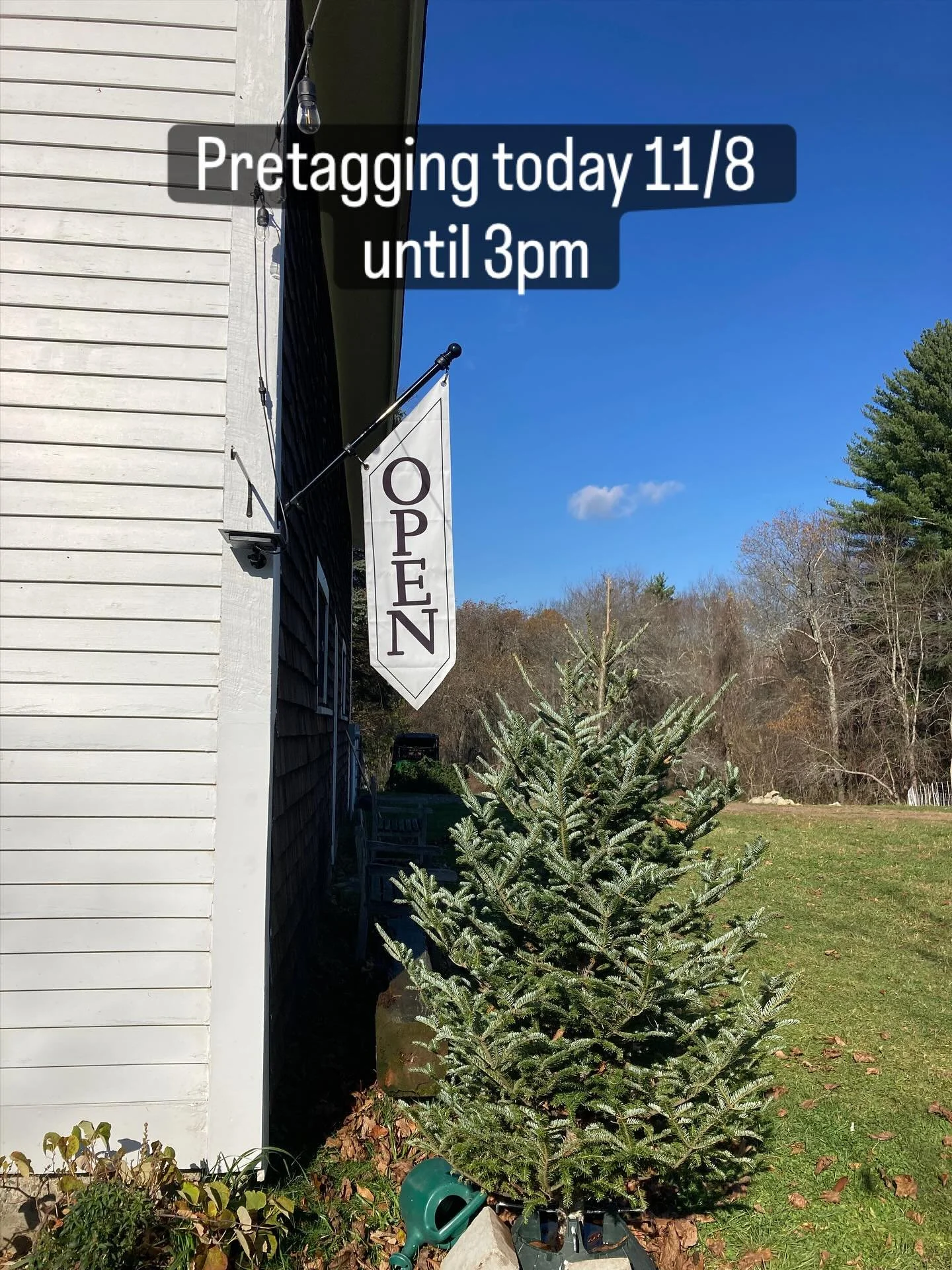 This morning has been such a rush i still haven&rsquo;t finished my breakfast! Today only pretagging for Christmas Trees until 3pm plus the farm store is open! 🌲🌲