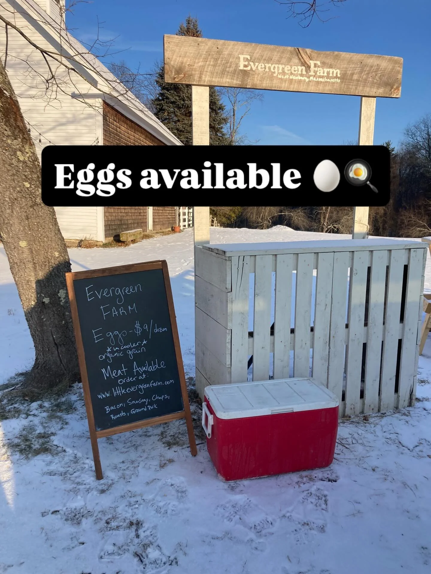 We have eggs available again! Monday - Friday while supplies last! 

For the moment they will be out in a cooler at the farm and Heartwood parking area because the barn doesn&rsquo;t have heat so this will prevent them from freezing. If you want to p