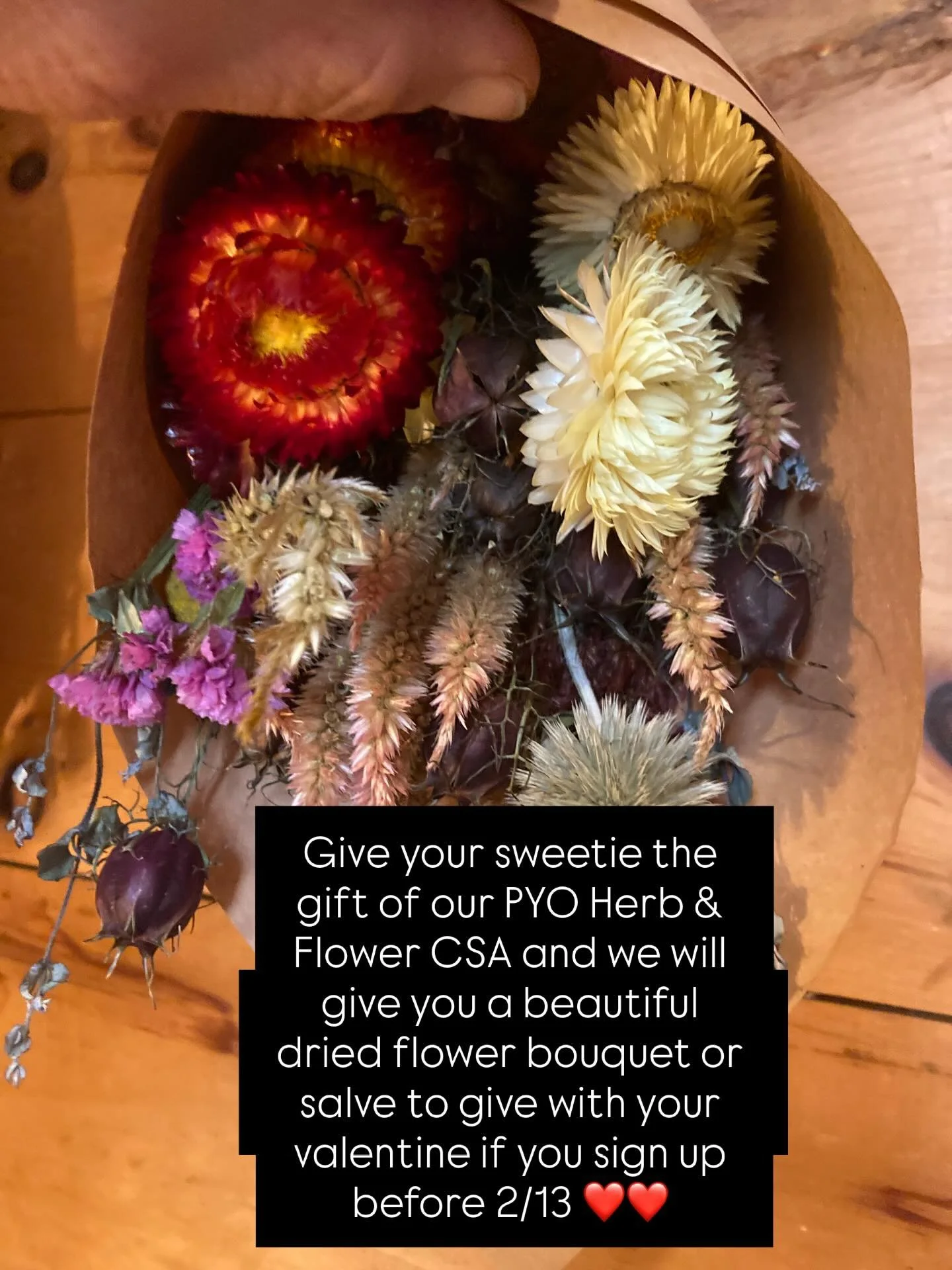 Looking for the valentine gift that keeps on giving? Sign your sweetie up for our PYO Herb &amp; Flower CSA before 2/13 and you can pick up a dried flower bouquet or salve to give them on Valentine&rsquo;s Day!* 

Learn more on our website or link in